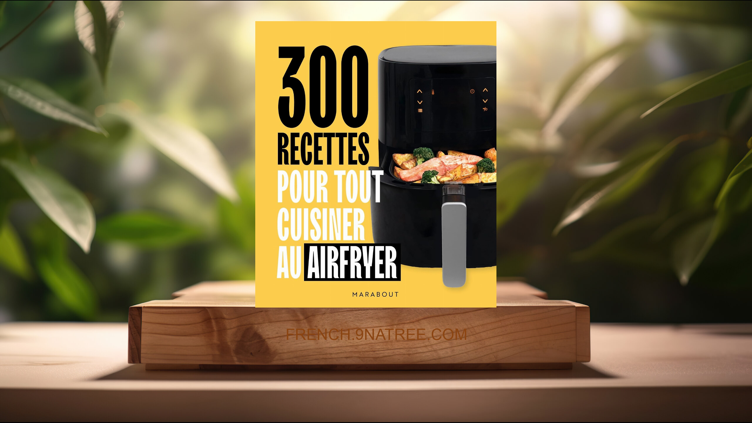 [Critique] 300 recettes pour tout cuisiner au airfryer (Collectif) Résumé.
