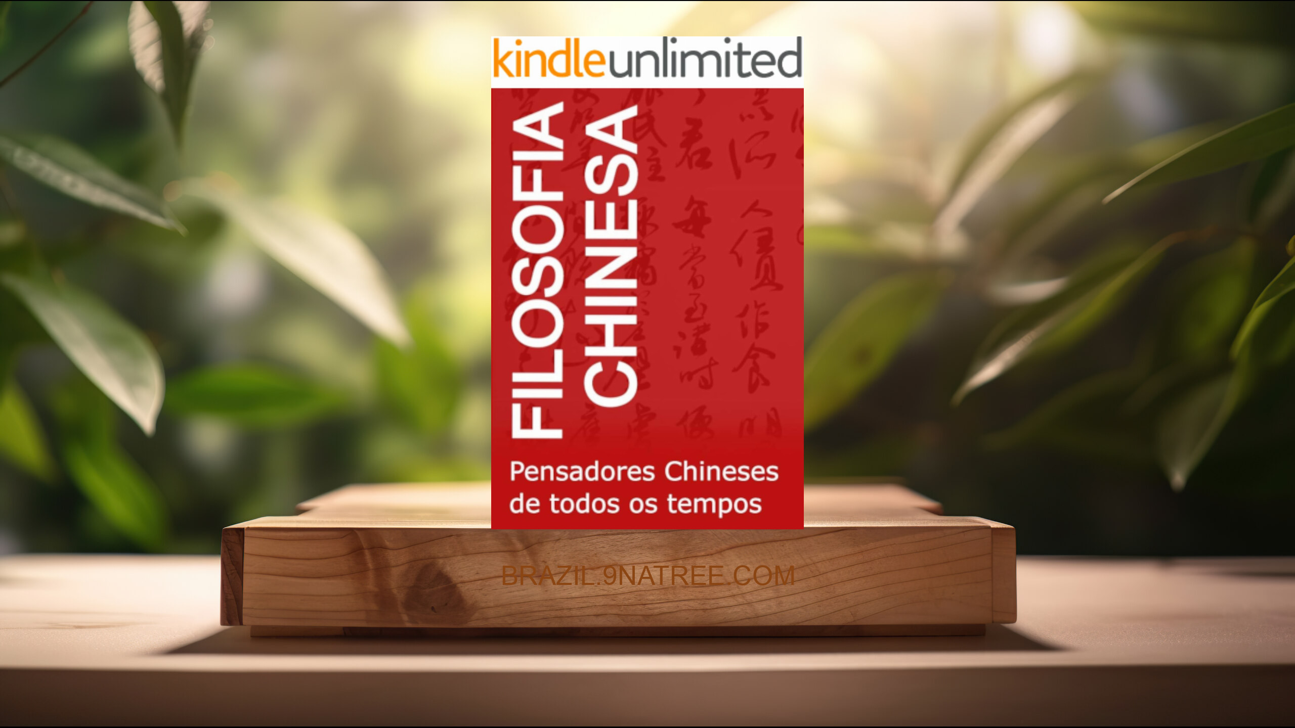 [Análises] Filosofia Chinesa: Pensadores Chineses de todos os tempos  (Thiago Tamosauskas) Resumidos.