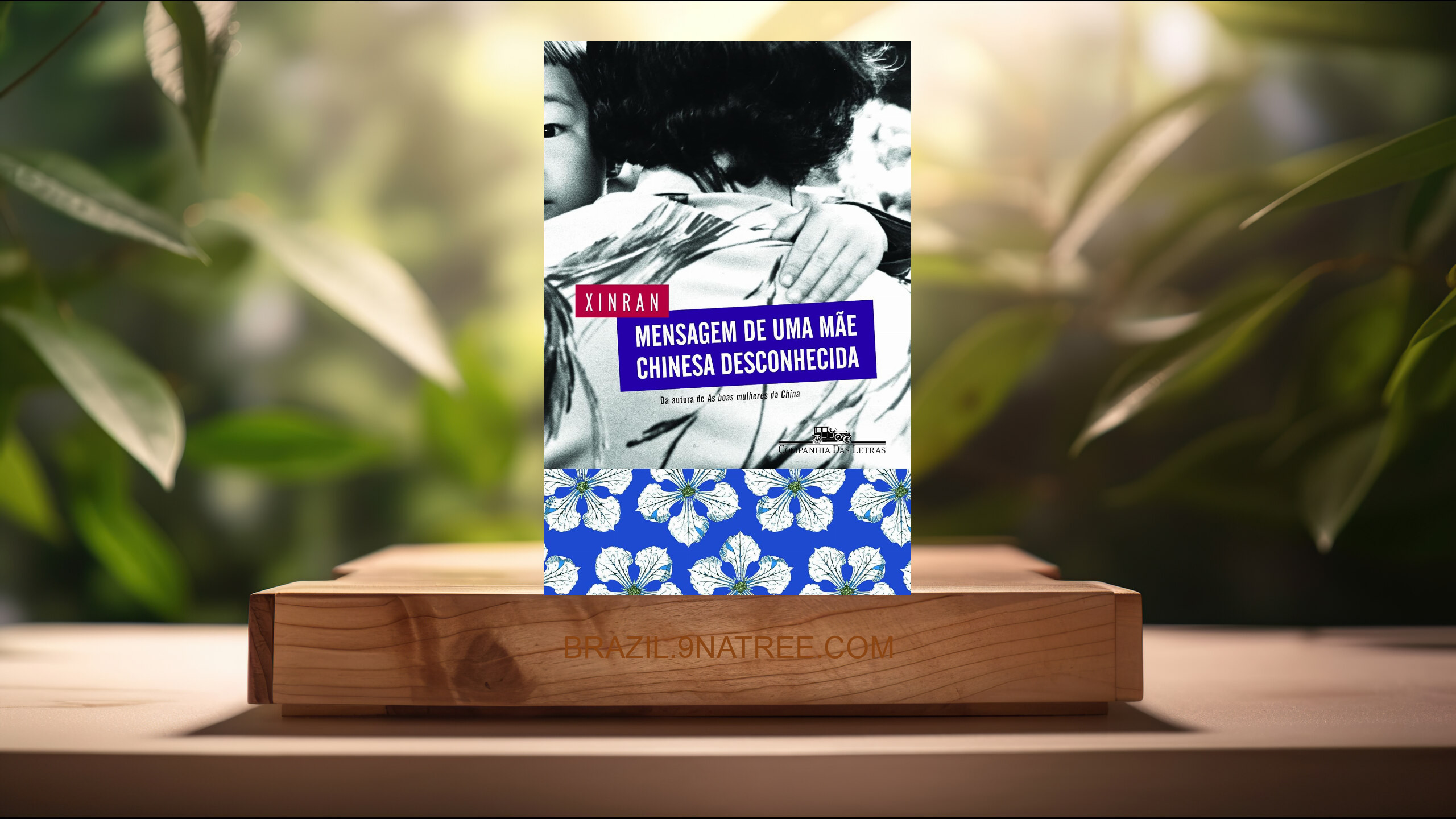 [Análises] Mensagem de uma mãe chinesa desconhecida (Xinran) Resumidos.