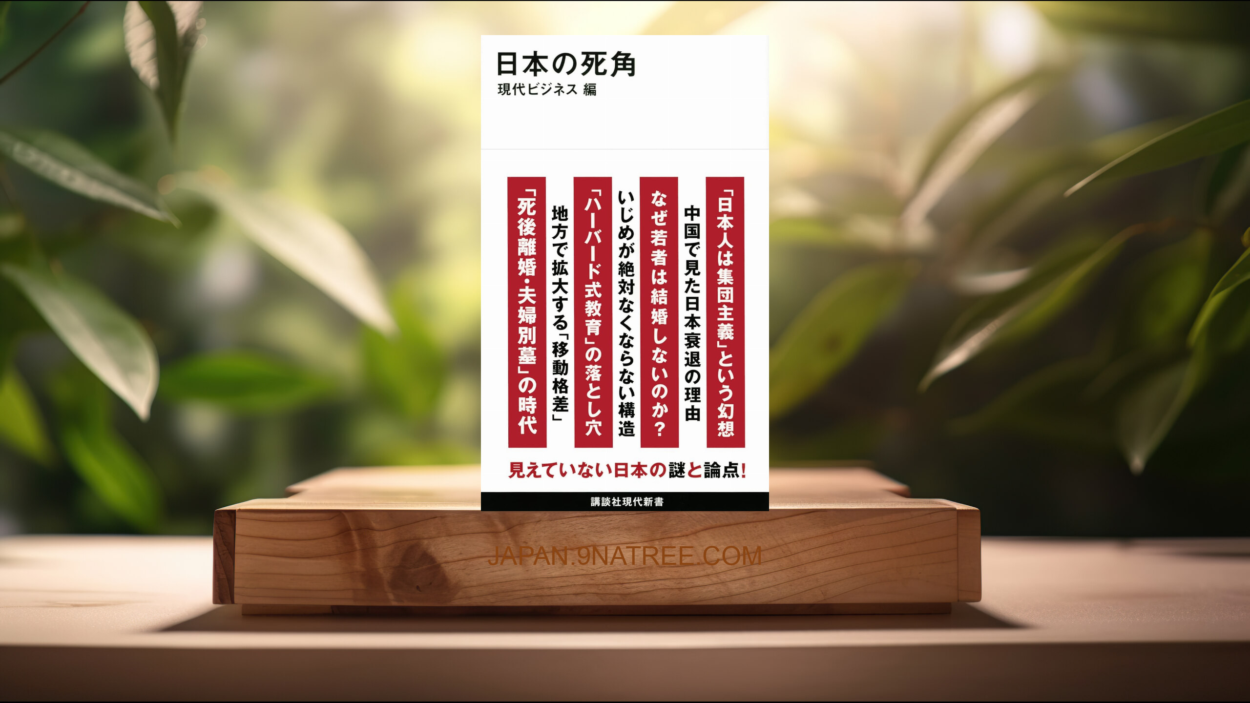 [レビュー] 日本の死角  (現代ビジネス) 要約した.