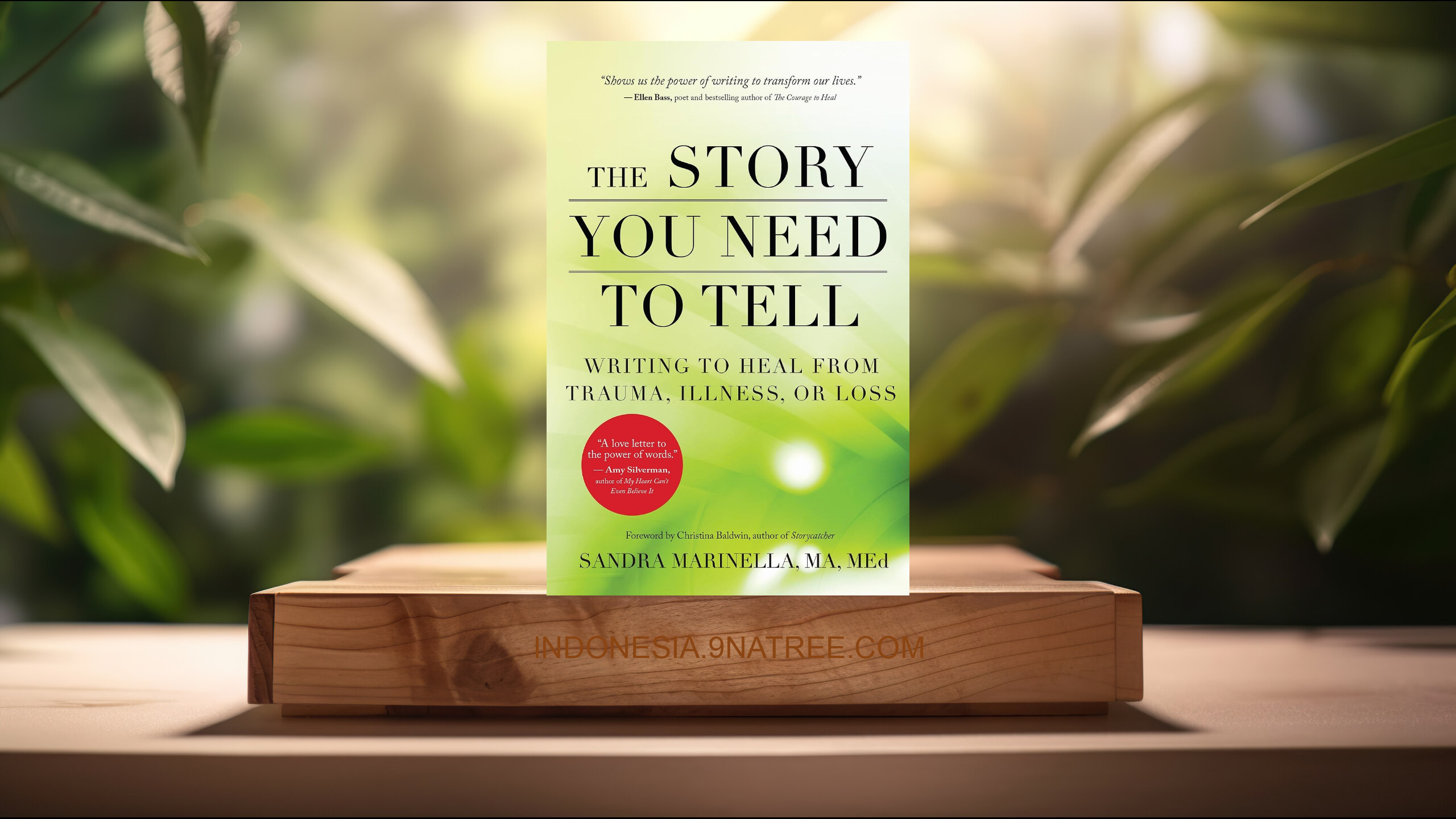 [Ulasan] The Story You Need to Tell (Sandra Marinella) Ringkasan.