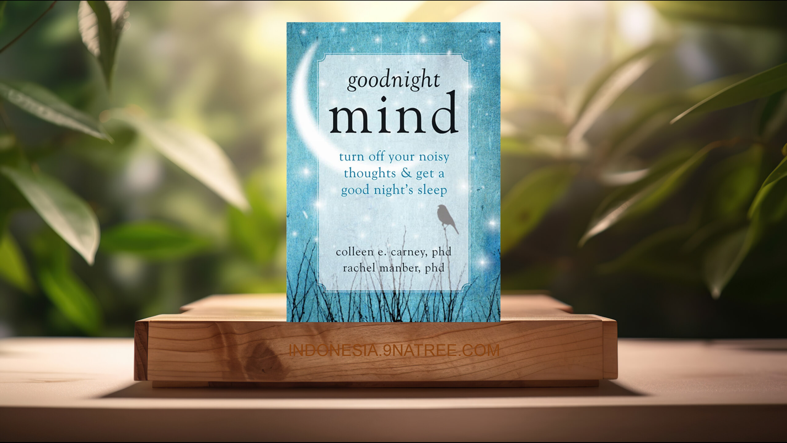 [Ulasan] Goodnight Mind (Colleen E. Carney PhD) Ringkasan.