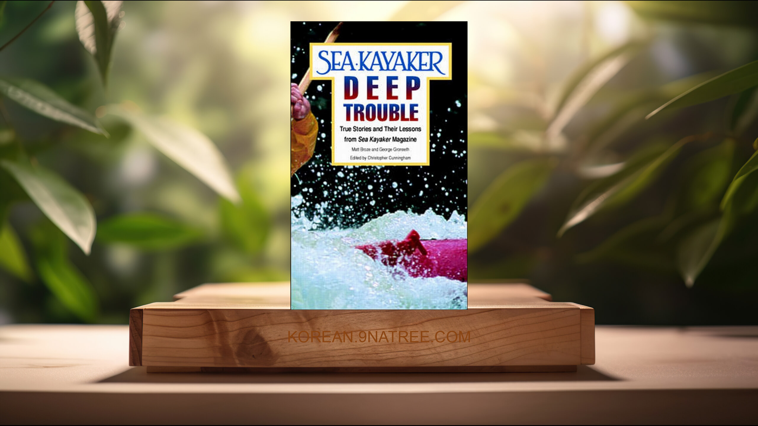 [리뷰] Sea Kayaker's Deep Trouble (Matt Broze) 요약 완료.