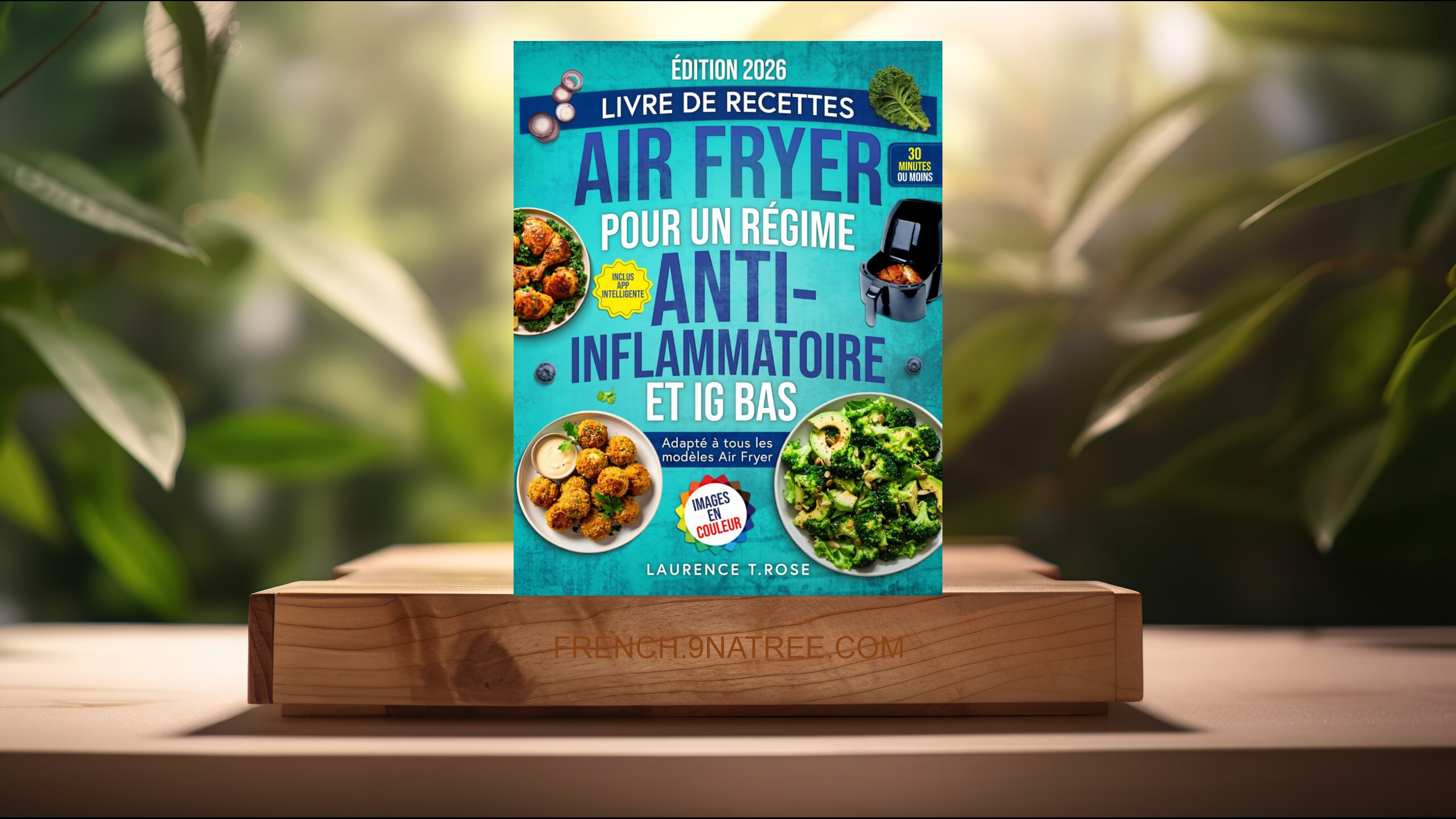 [Critique] Livre de recettes Air Fryer pour un régime Anti-Inflammatoire et IG Bas (Laurence T. Rose) Résumé.