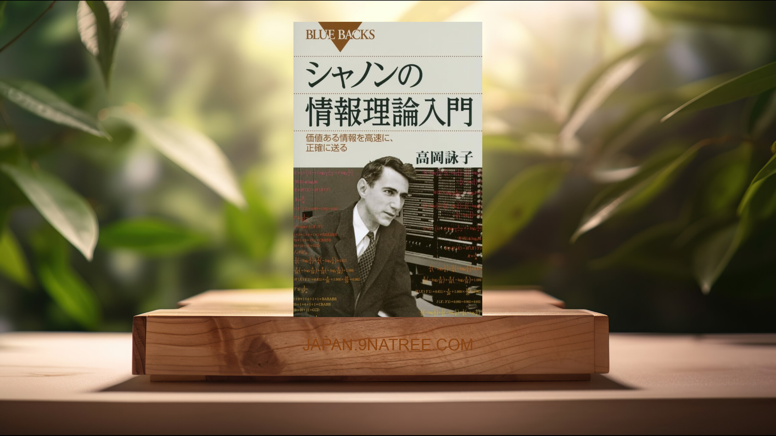[レビュー] シャノンの情報理論入門  (高岡 詠子) 要約した.