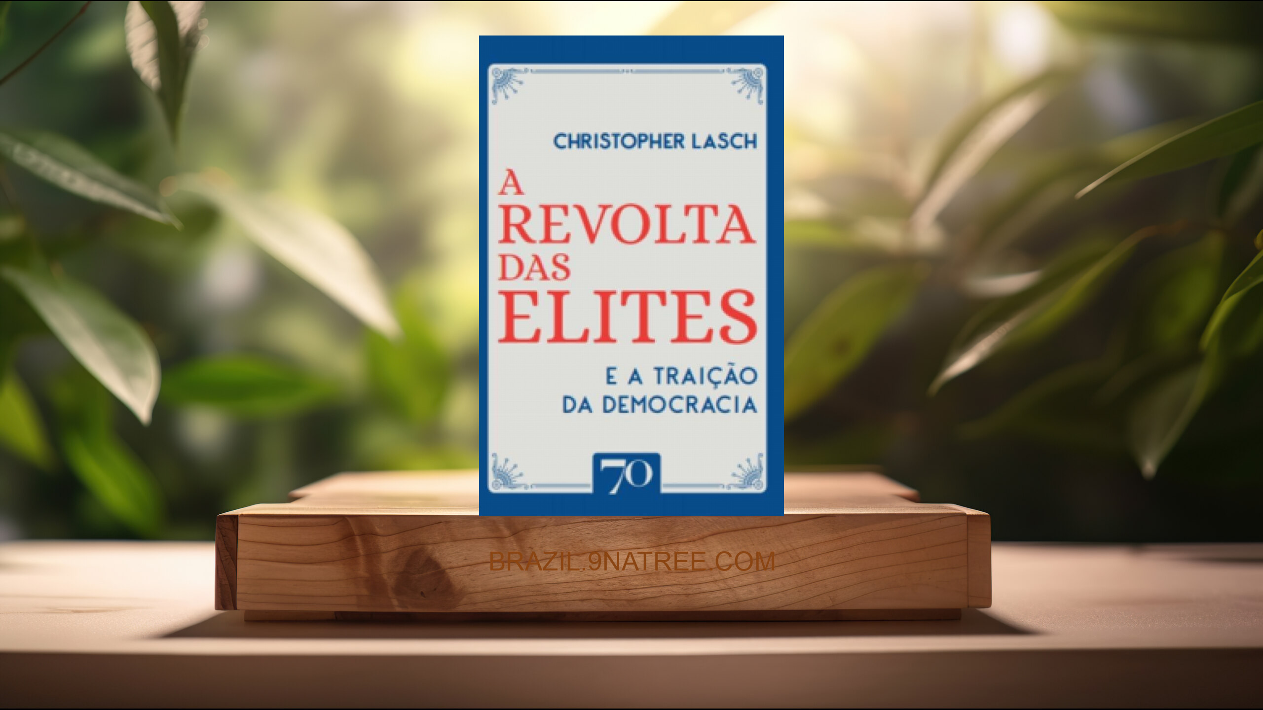 [Análises] A Revolta Das Elites E A Traição Da Democracia (Christopher Lasch) Resumidos.