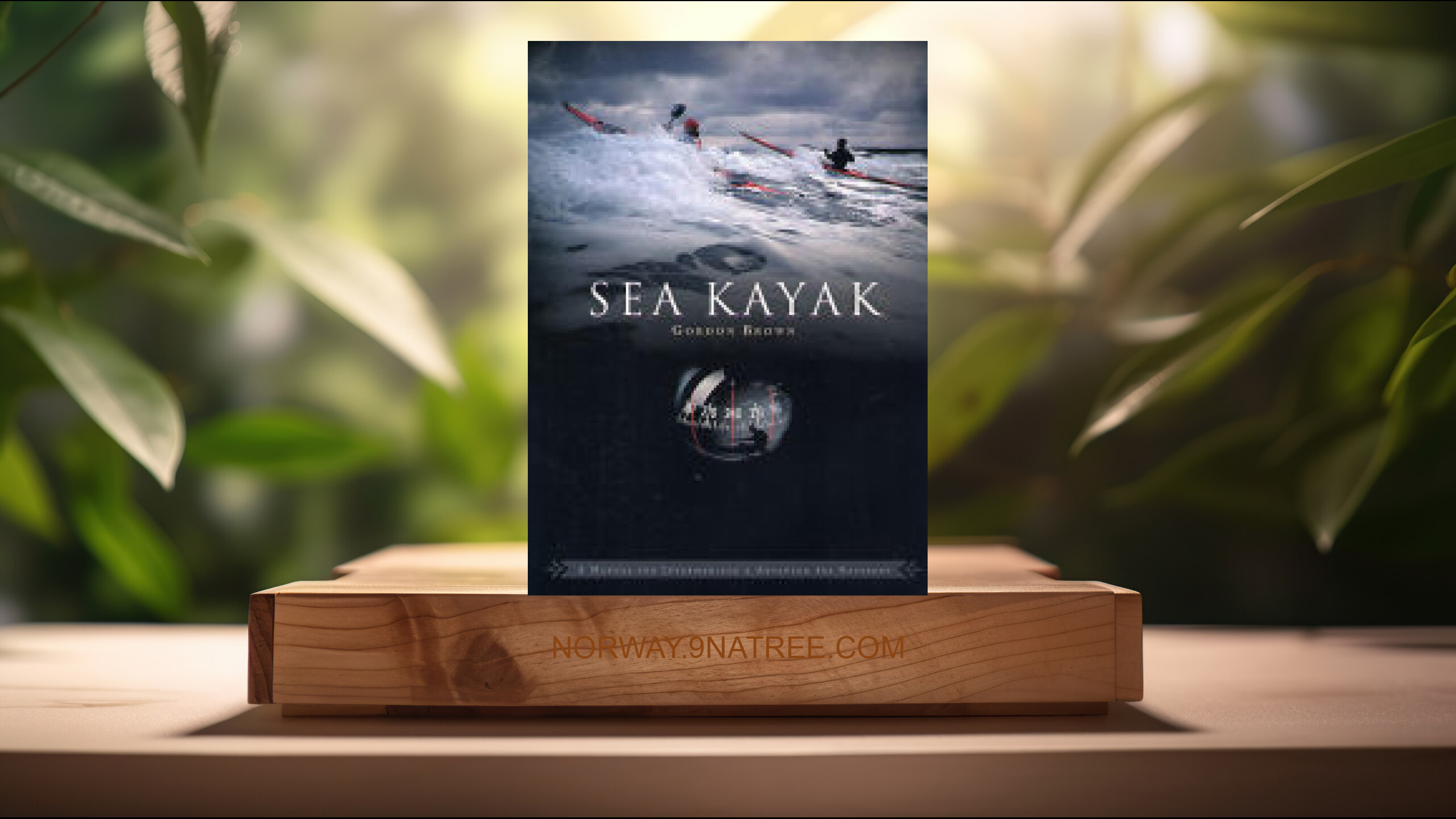 [Anmeldelse] Sea Kayak: A Manual for Intermediate and Advanced Sea Kayakers (Gordon Brown) Oppsummert.
