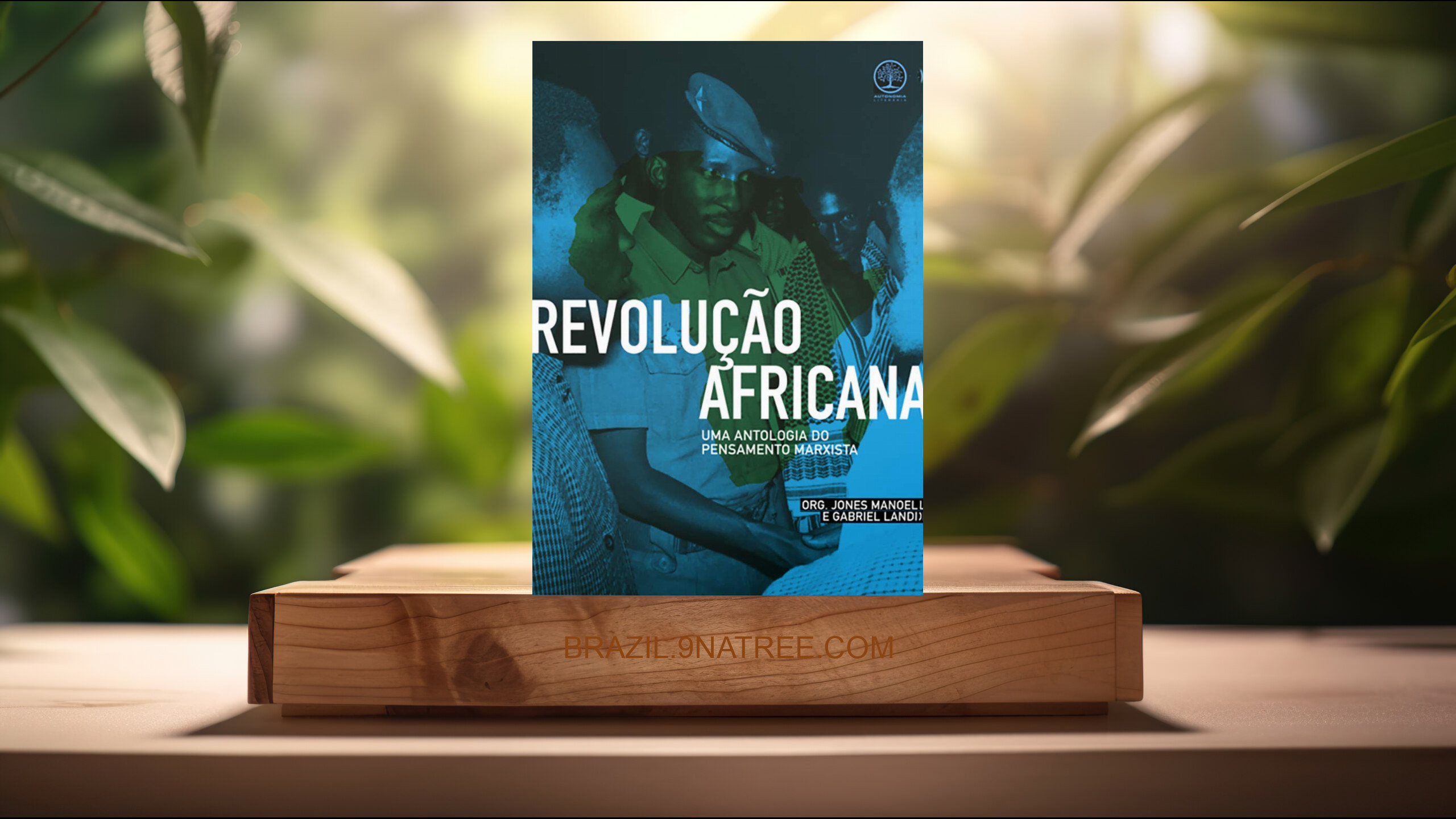[Análises] Revolução Africana: uma Antologia do Pensamento Marxista (Kwame Nkrumah Frantz Fanon) Resumidos.