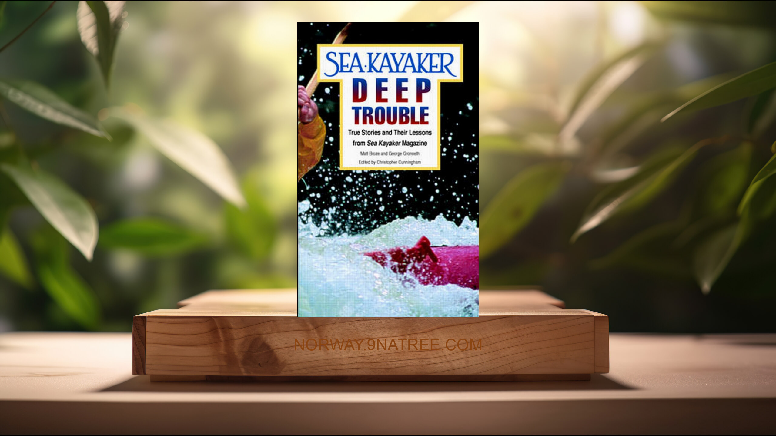[Anmeldelse] Sea Kayaker's Deep Trouble (Matt Broze) Oppsummert.