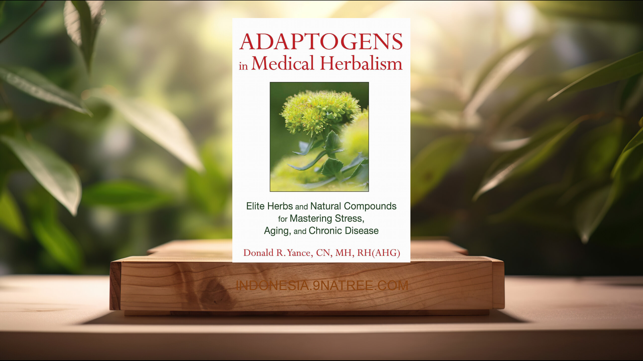 [Ulasan] Adaptogens in Medical Herbalism (Donald R. Yance CN  MH  RH(AHG)) Ringkasan.