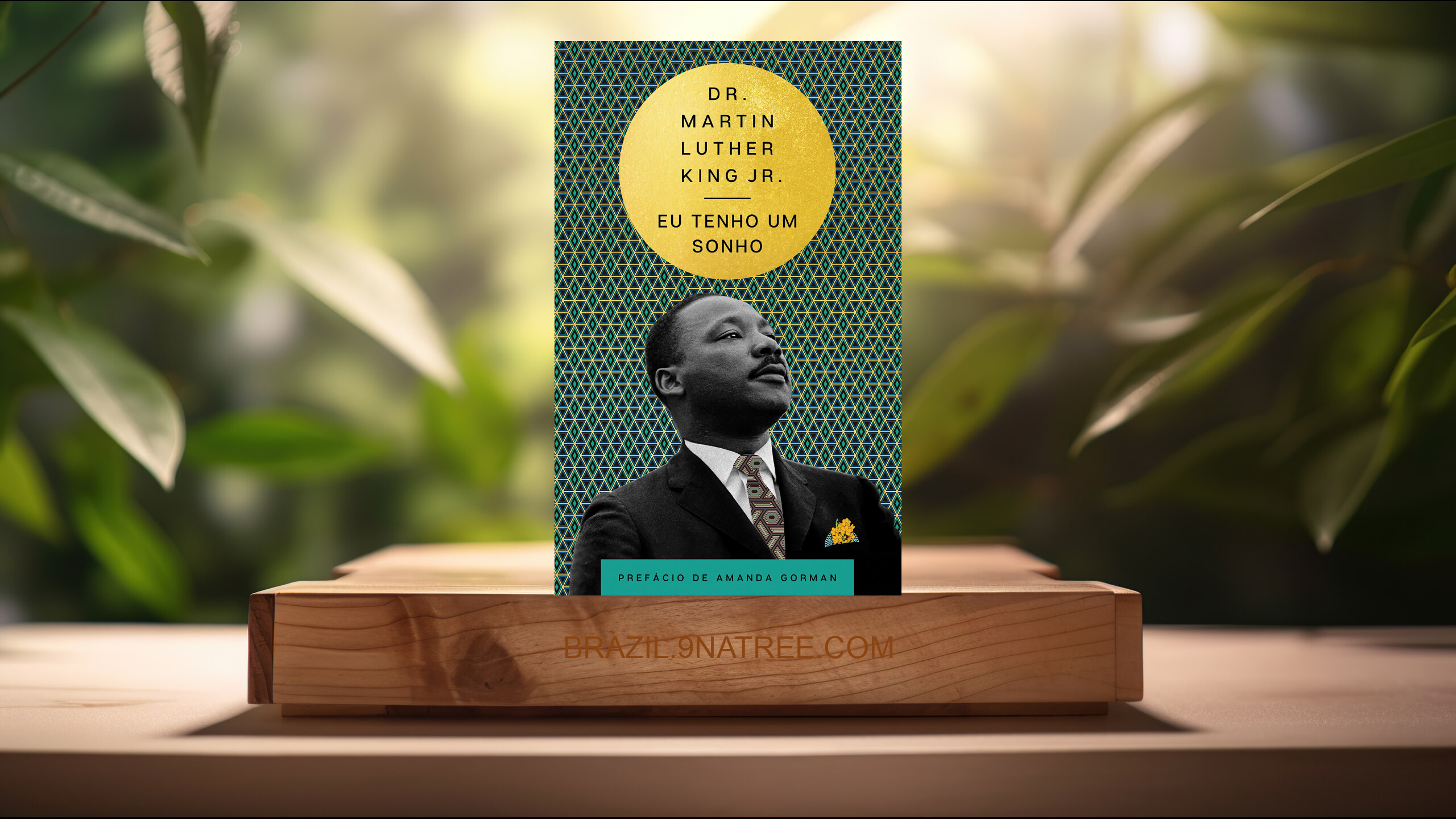 [Análises] Eu tenho um sonho:  (Martin King) Resumidos.