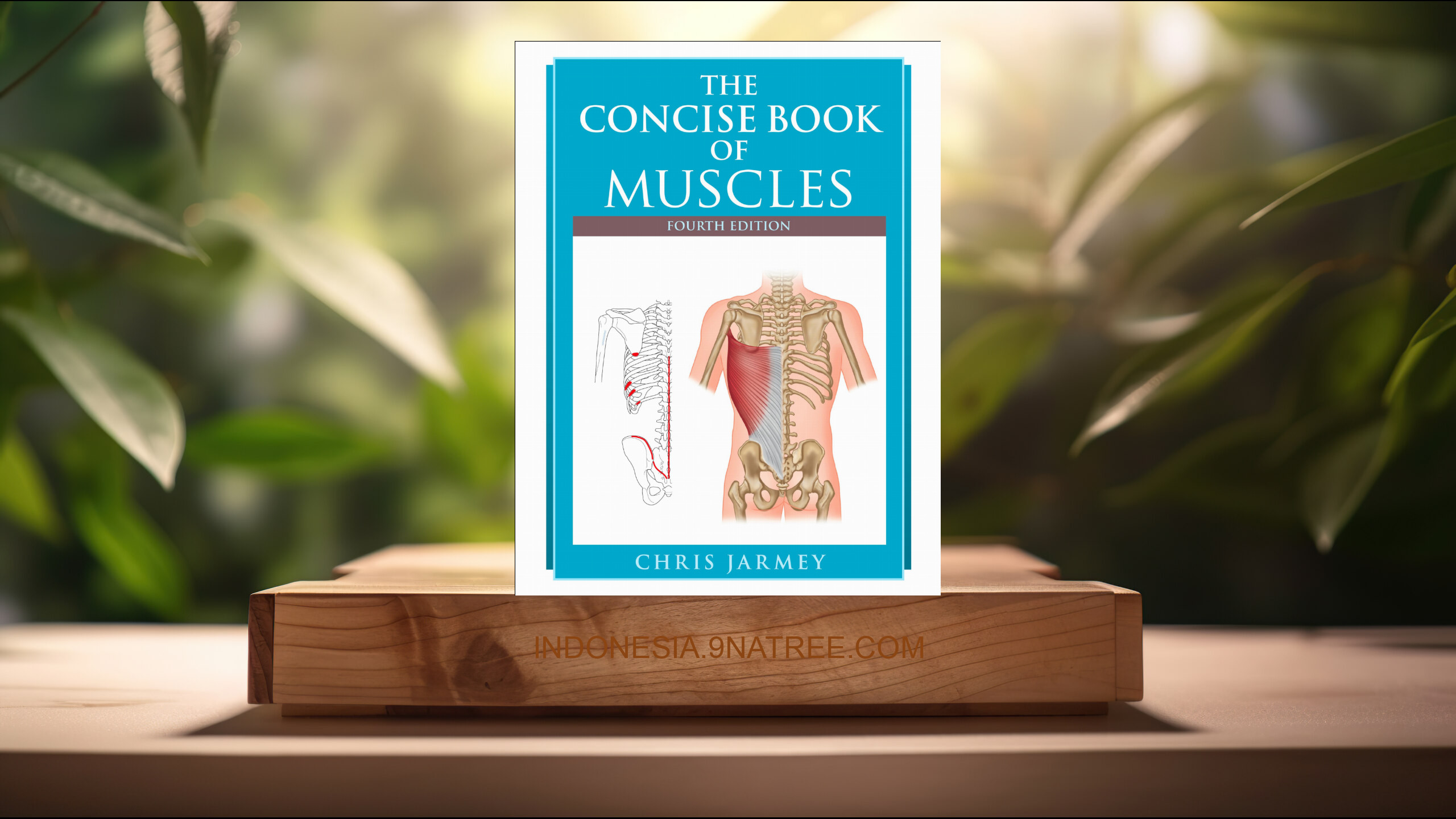 [Ulasan] The Concise Book of Muscles, Fourth Edition (Chris Jarmey) Ringkasan.