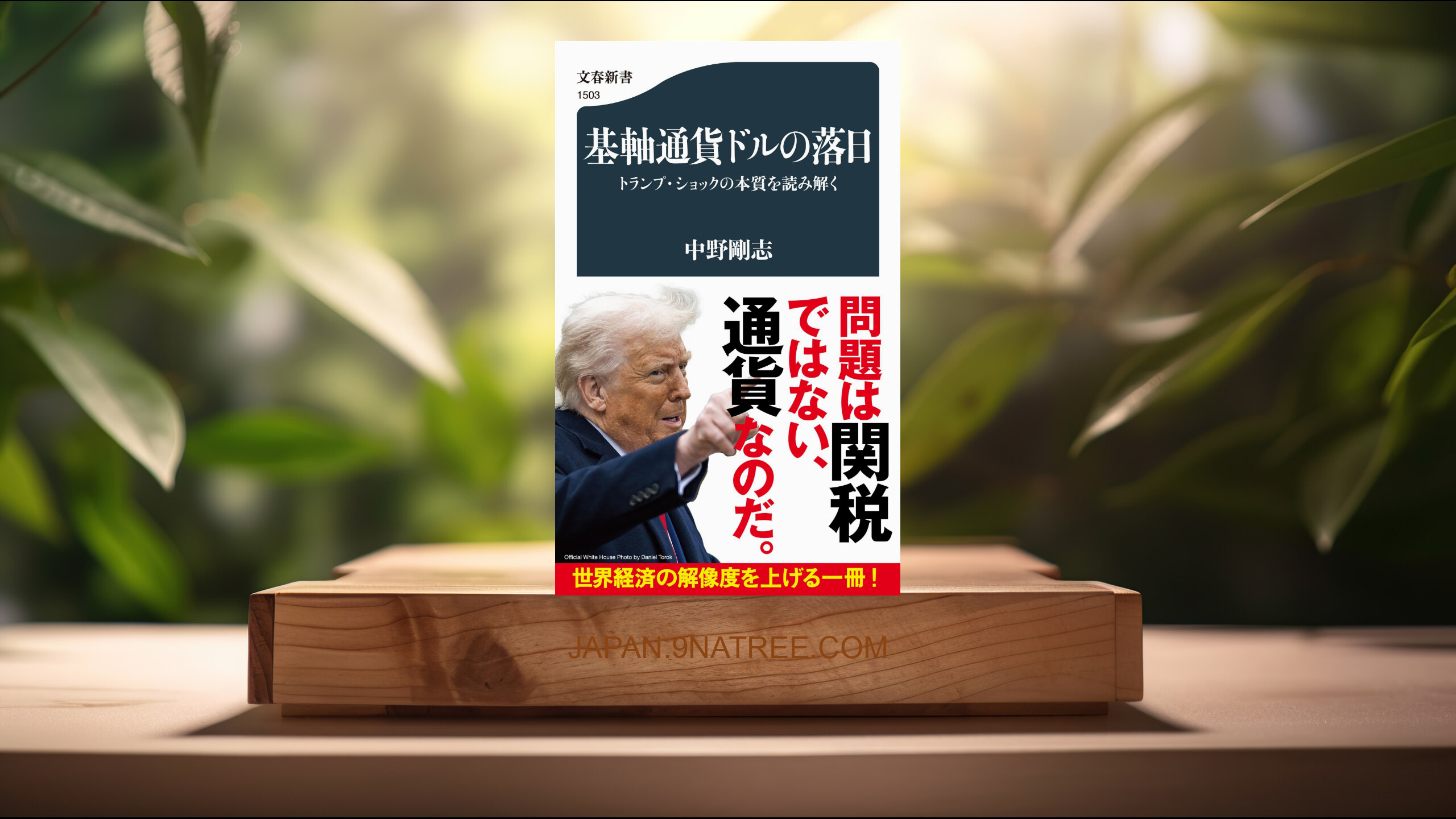 [レビュー] 基軸通貨ドルの落日 トランプ・ショックの本質を読み解く  (中野 剛志) 要約した.