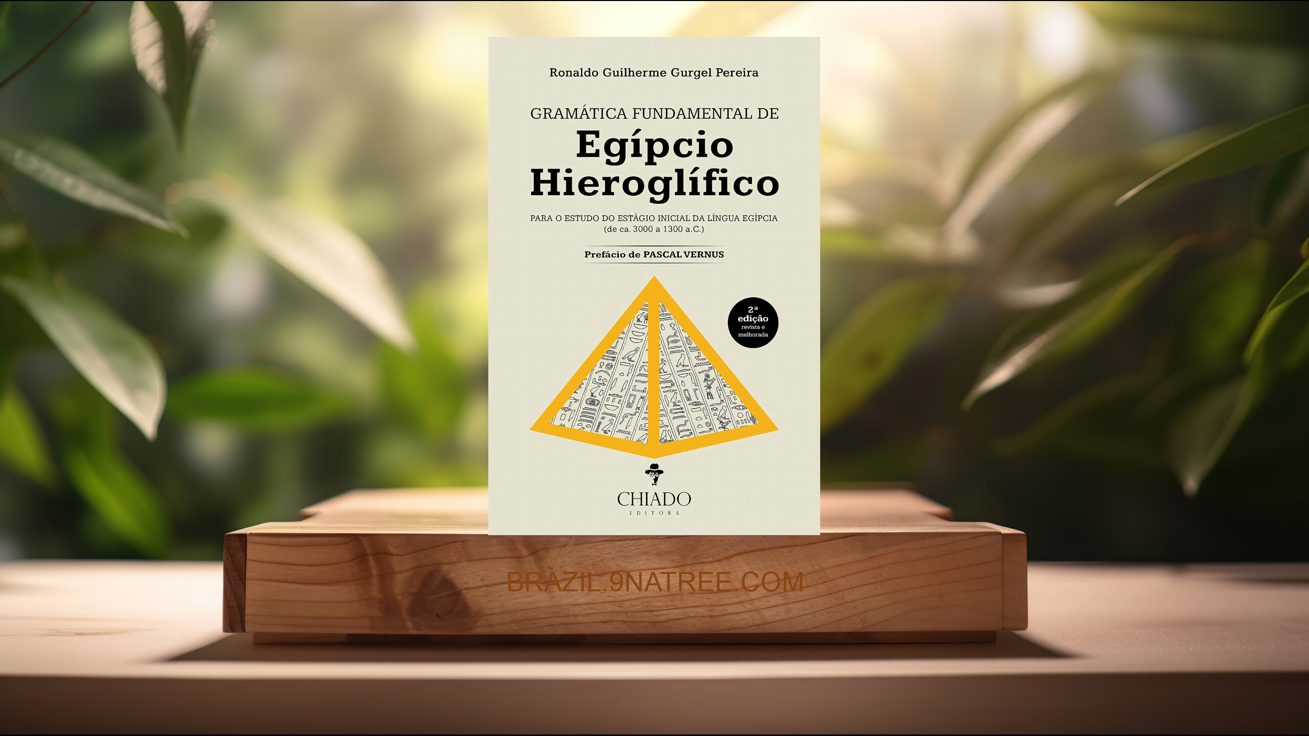 [Análises] Gramática Fundamental de Egípcio Hieroglífico (Ronaldo Guilherme Gurgel Pereira) Resumidos.