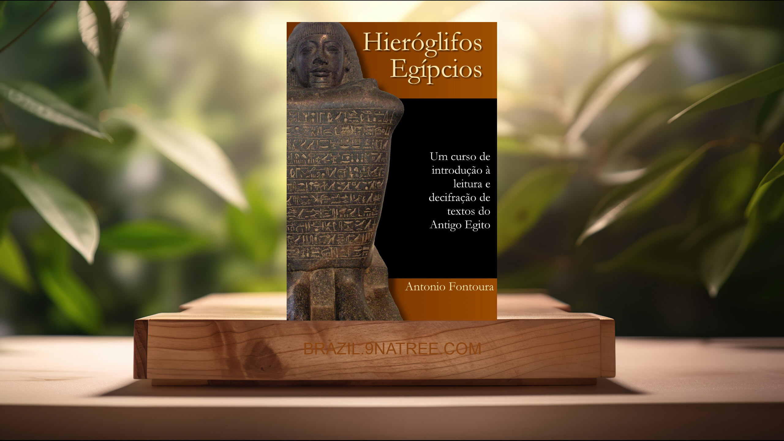 [Análises] Hieróglifos egípcios (Antonio Fontoura) Resumidos.