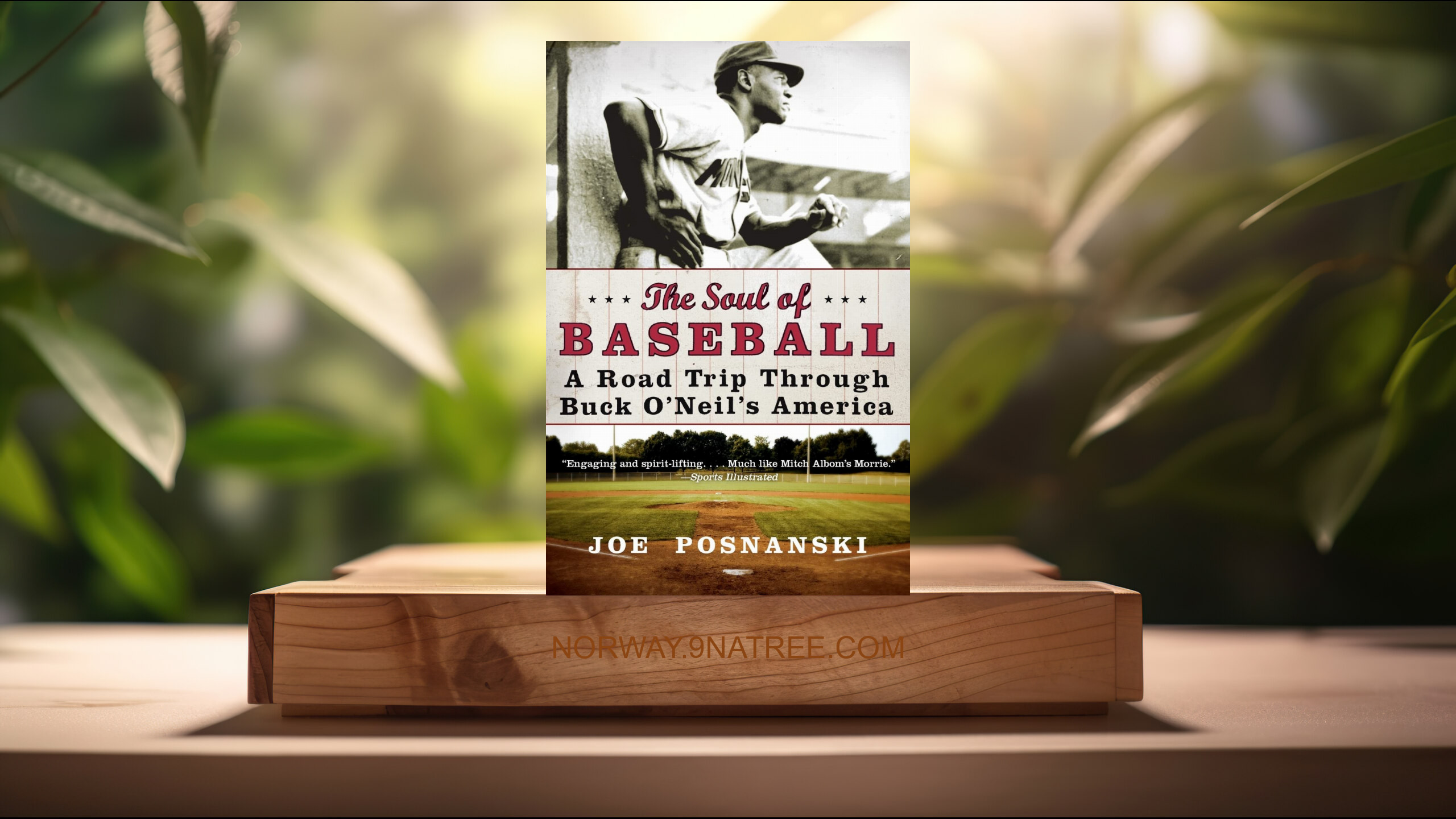 [Anmeldelse] The Soul of Baseball (Joe Posnanski) Oppsummert.