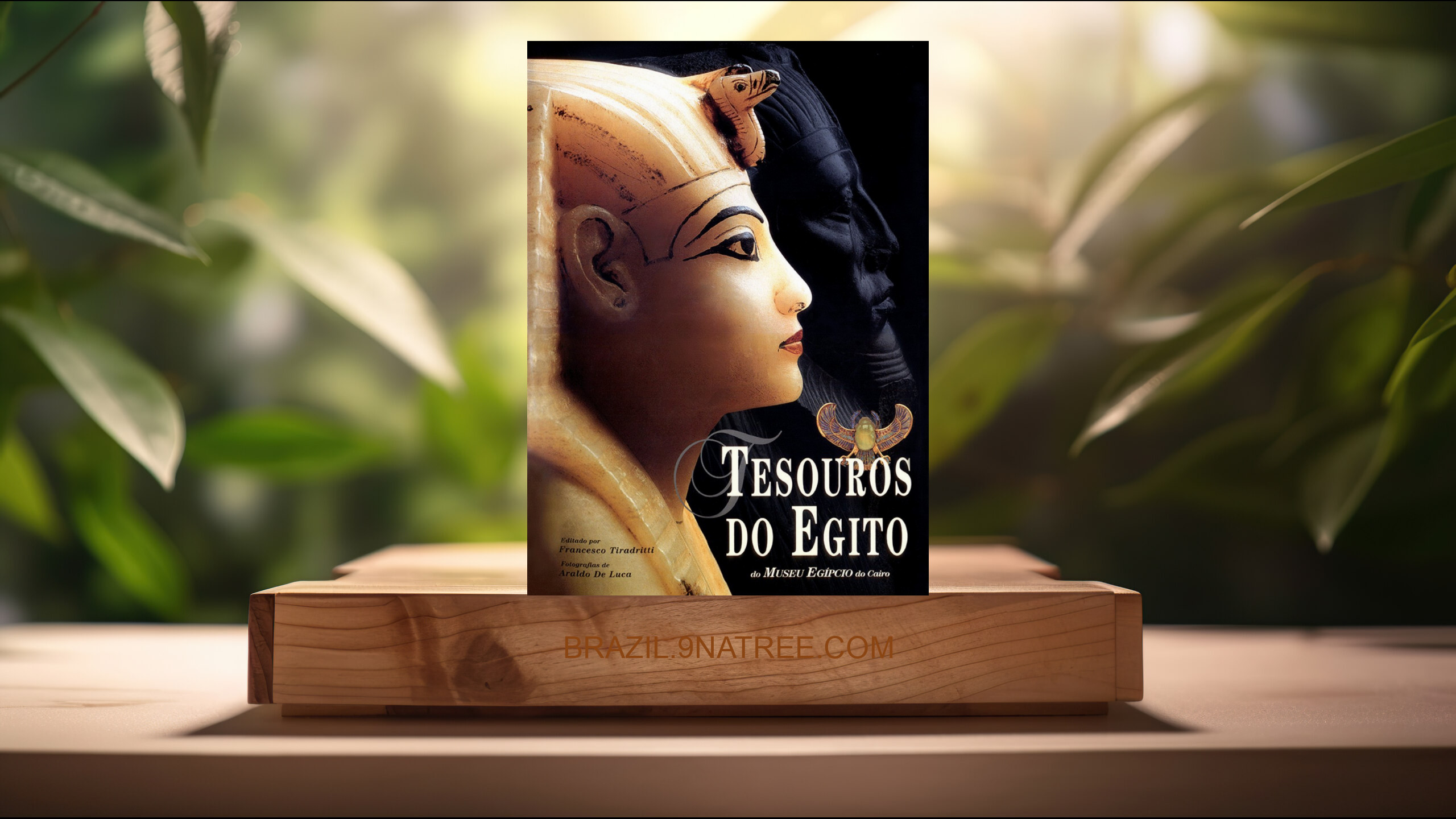 [Análises] Tesouros do Egito: Do museu egípcio do Cairo (Francesco Luca  Araldo De  Tiradritti) Resumidos.