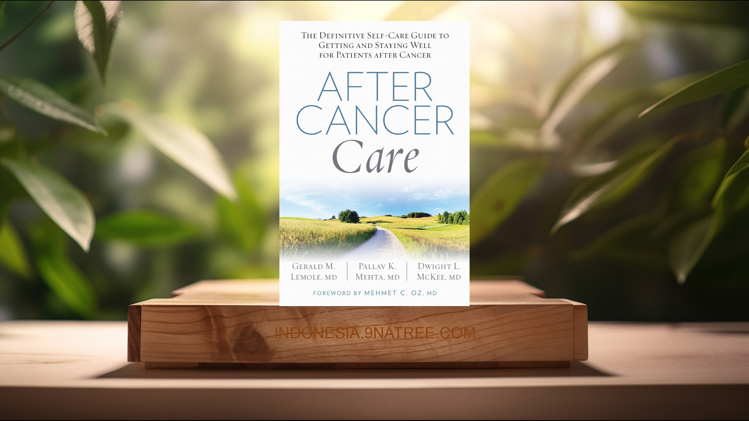 [Ulasan] After Cancer Care (Gerald Lemole) Ringkasan.