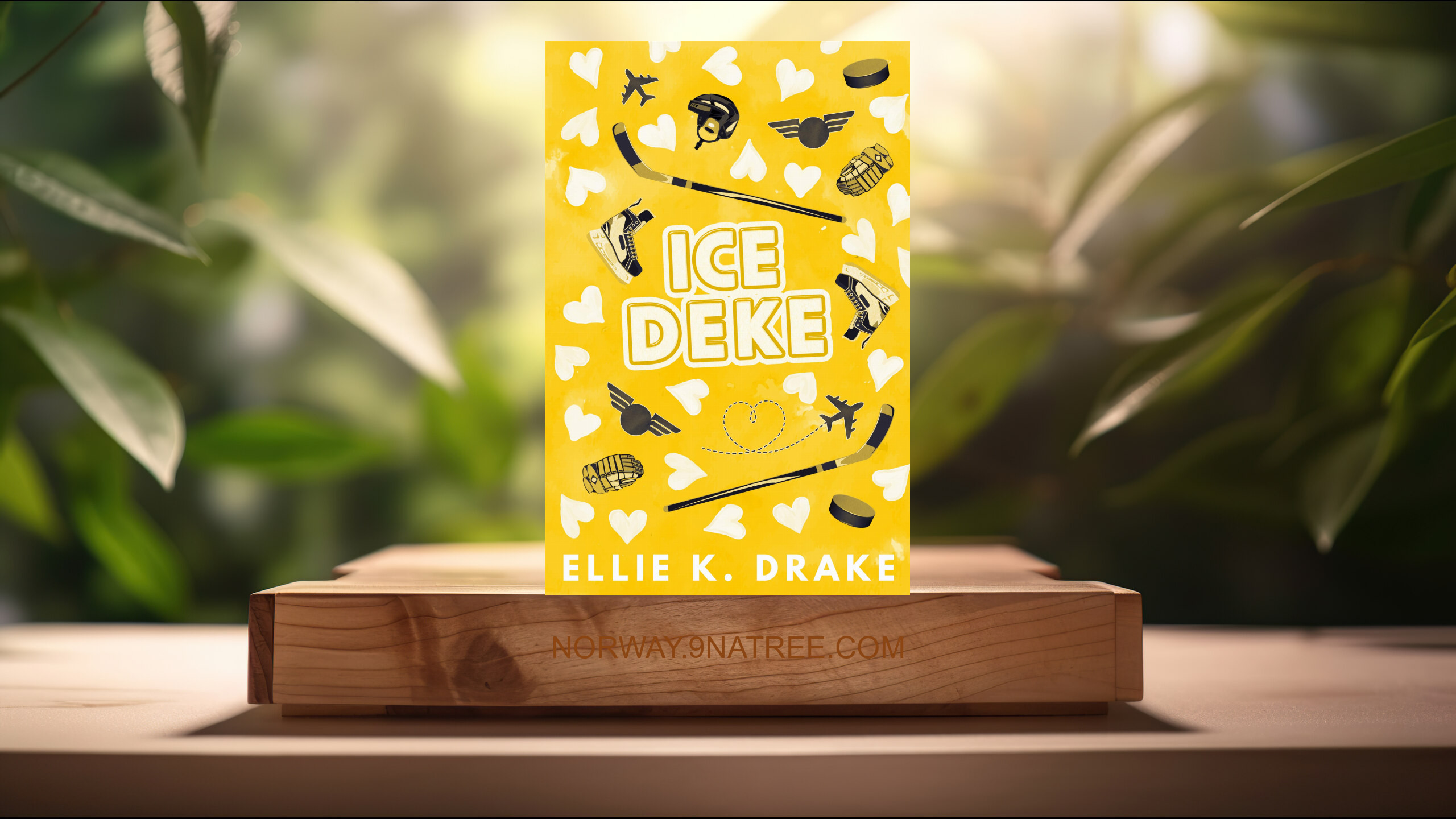[Anmeldelse] Ice Deke: A Fake Dating, Age Gap, Hockey Romance  (Ellie K.  Drake) Oppsummert.