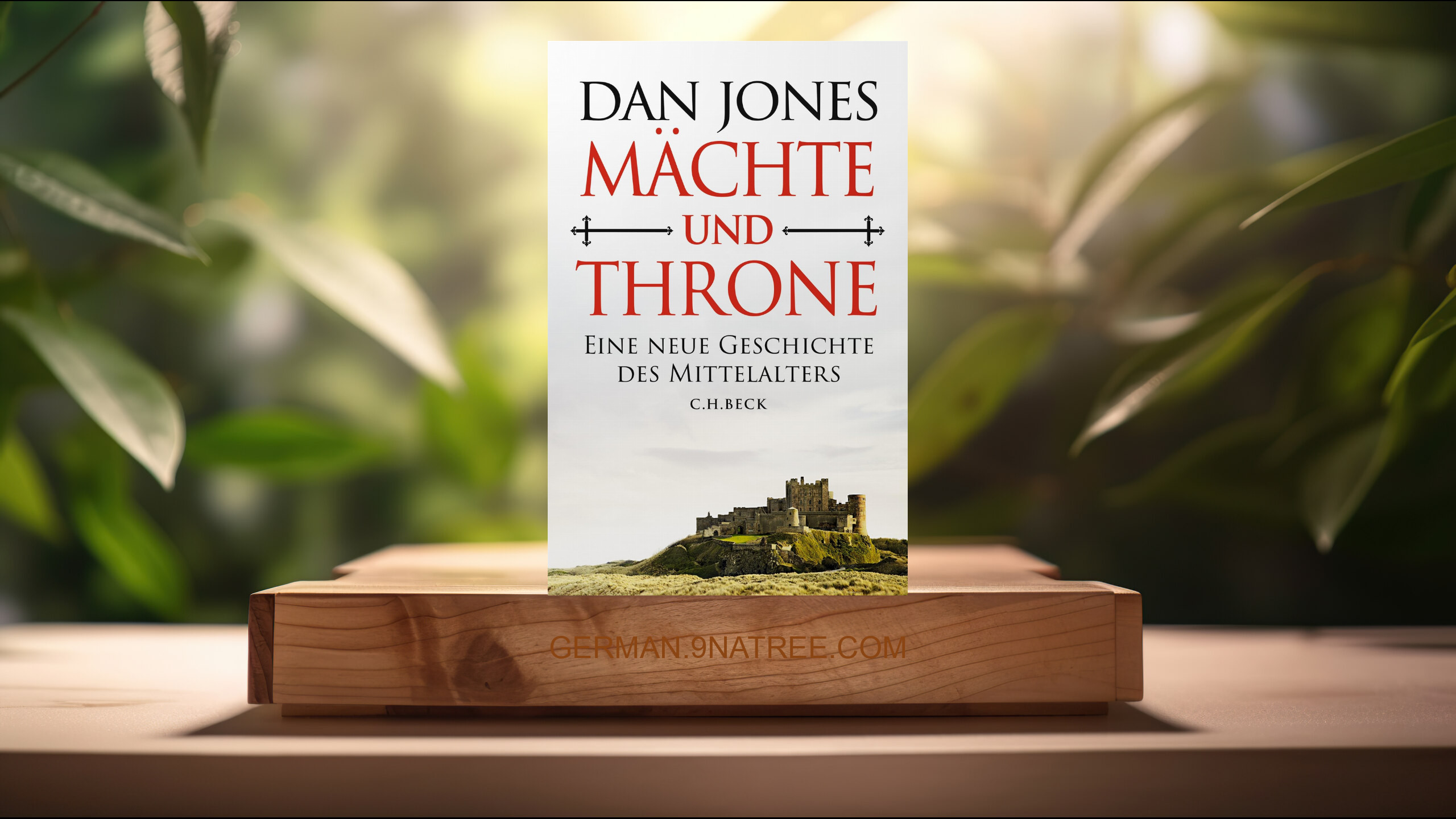 [Rezensiert] Mächte und Throne: Eine neue Geschichte des Mittelalters (Dan Jones) Zusammengefasst.