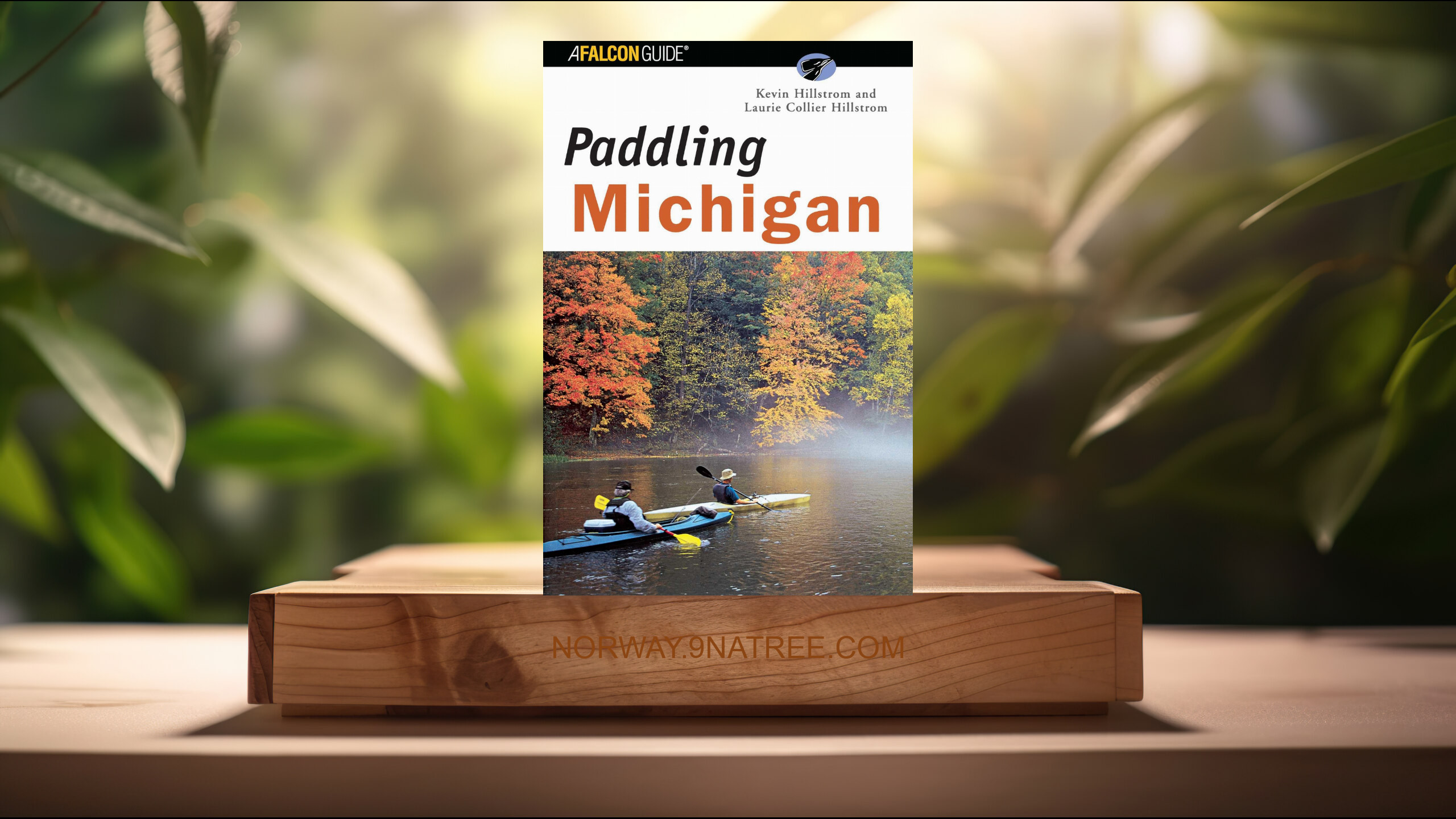 [Anmeldelse] Paddling Michigan  (Kevin Hillstrom) Oppsummert.