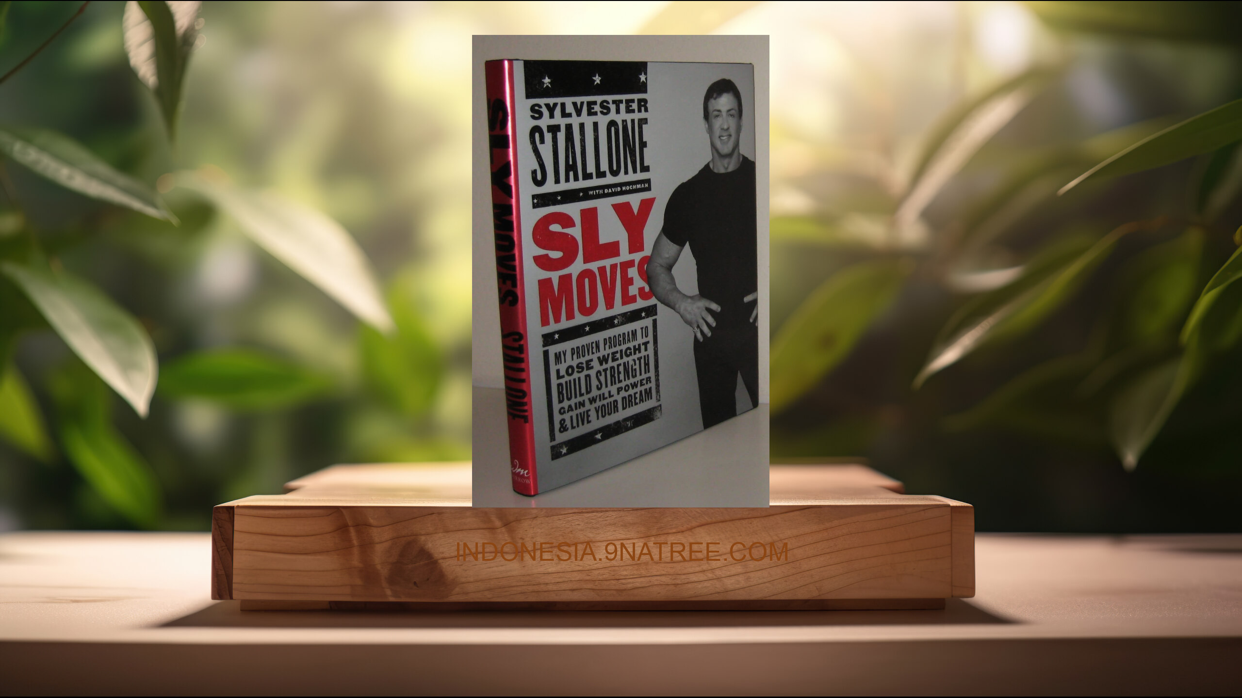 [Ulasan] Sly Moves (Sylvester Stallone) Ringkasan.
