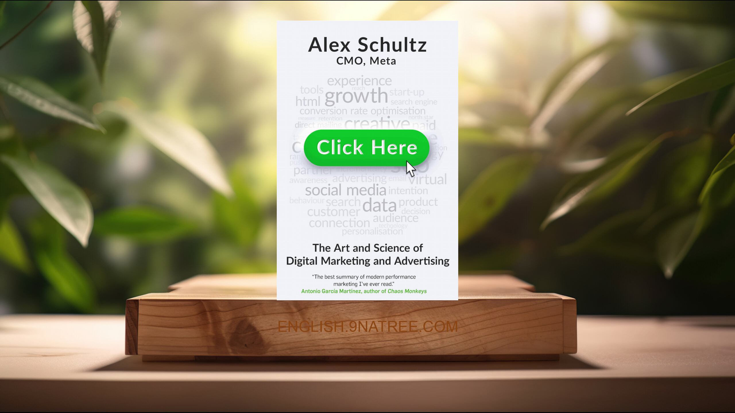 [Review] Click Here: The Art and Science of Digital Marketing and Advertising (Alex Schultz) Summarized.