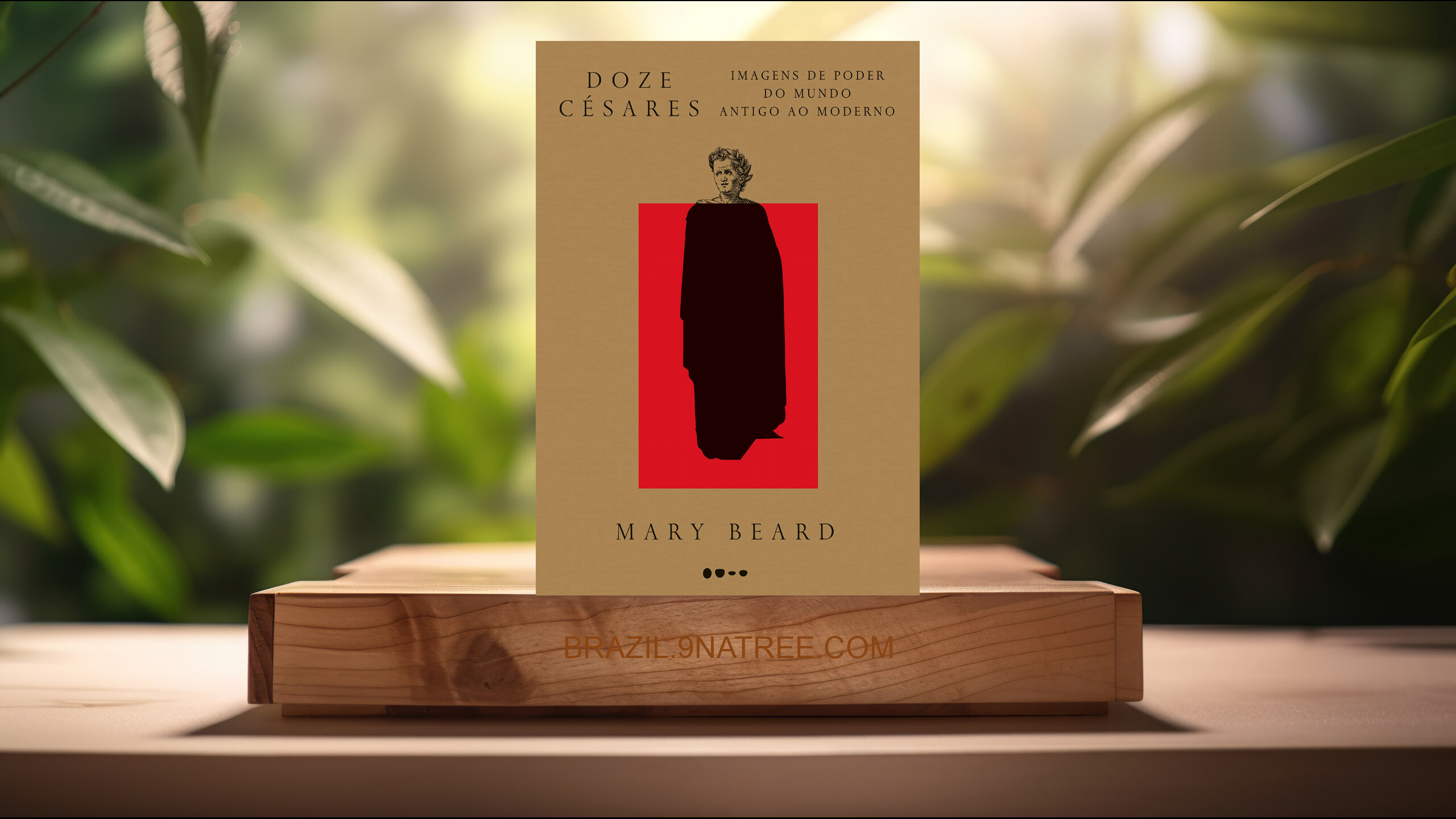 [Análises] Doze Césares: Imagens de poder do mundo Antigo ao Moderno (Mary Beard) Resumidos.