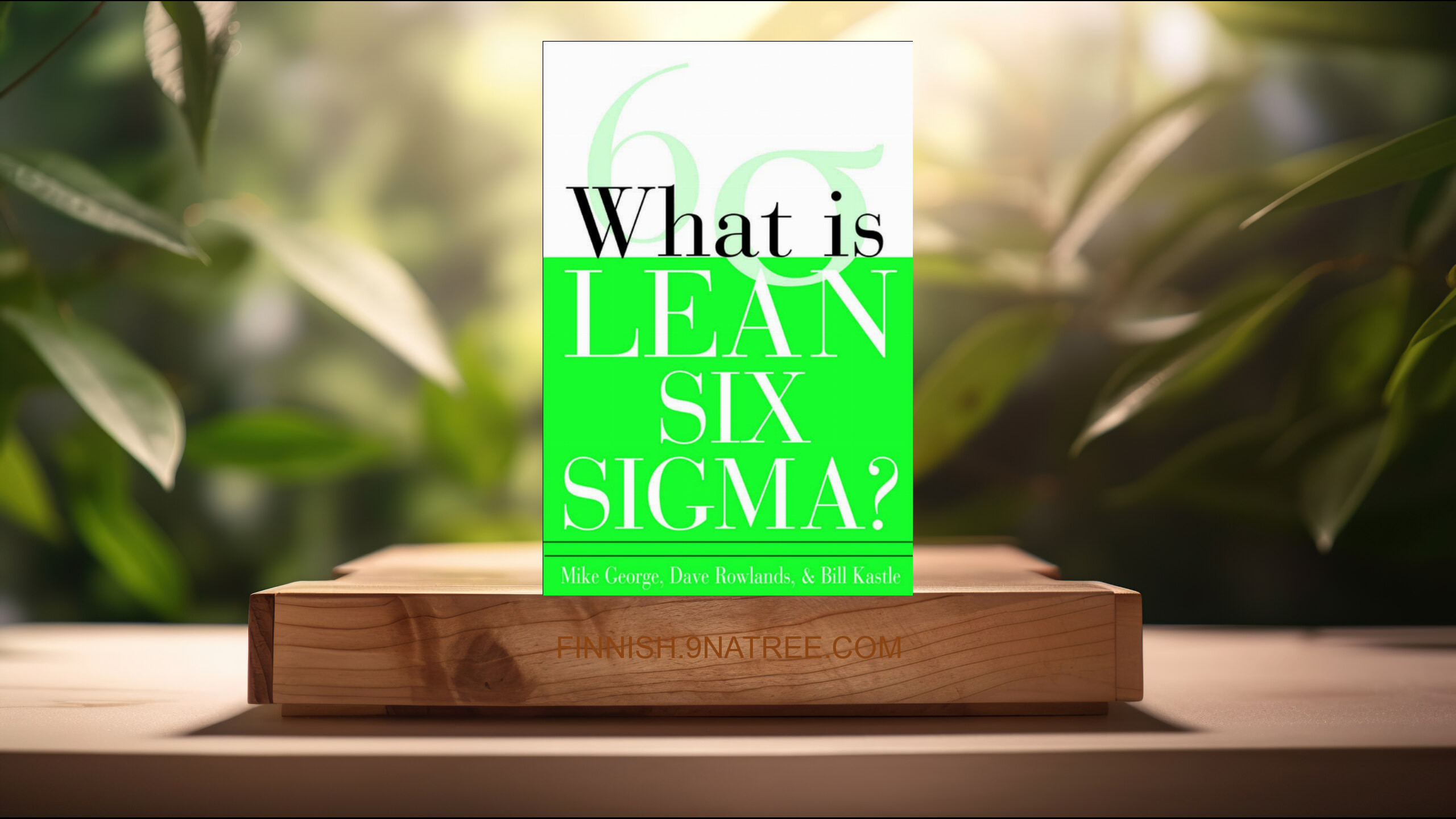 [Arvostelu] What is Lean Six Sigma (Michael L. George) Tiivistetty.