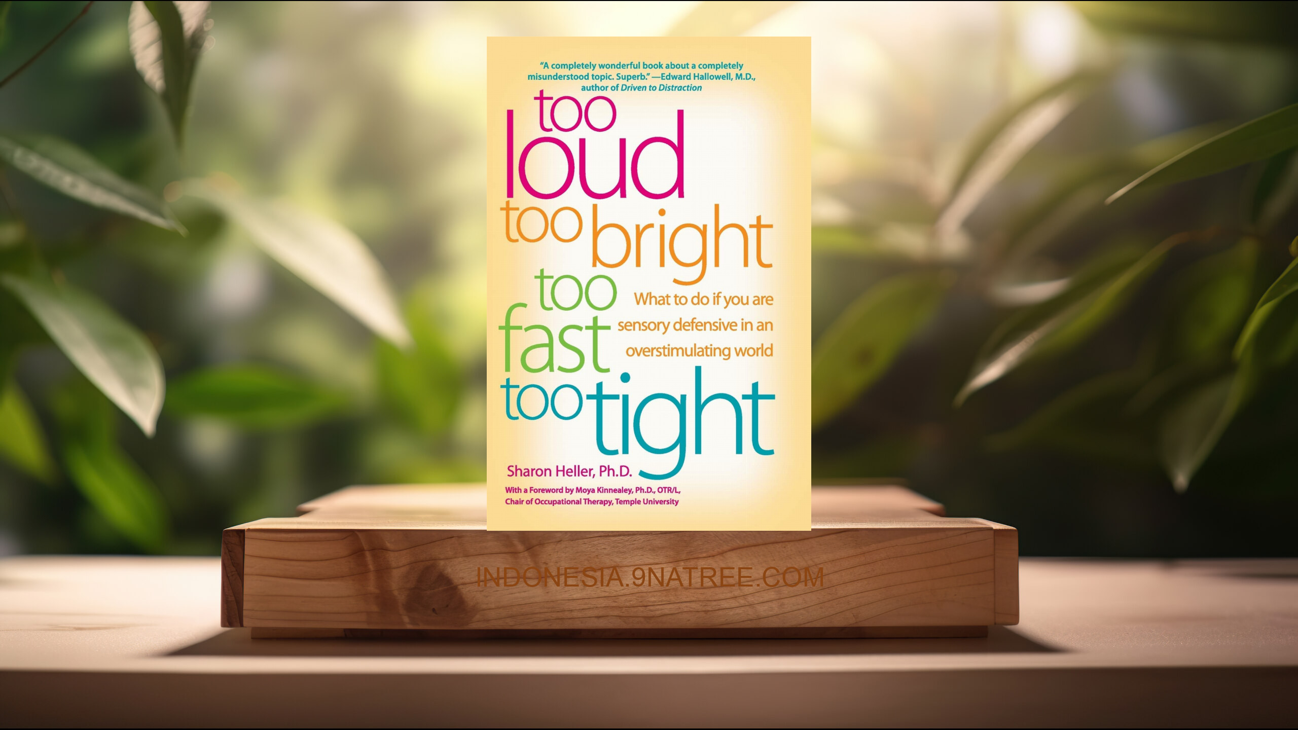 [Ulasan] Too Loud, Too Bright, Too Fast, Too Tight (Sharon Heller) Ringkasan.