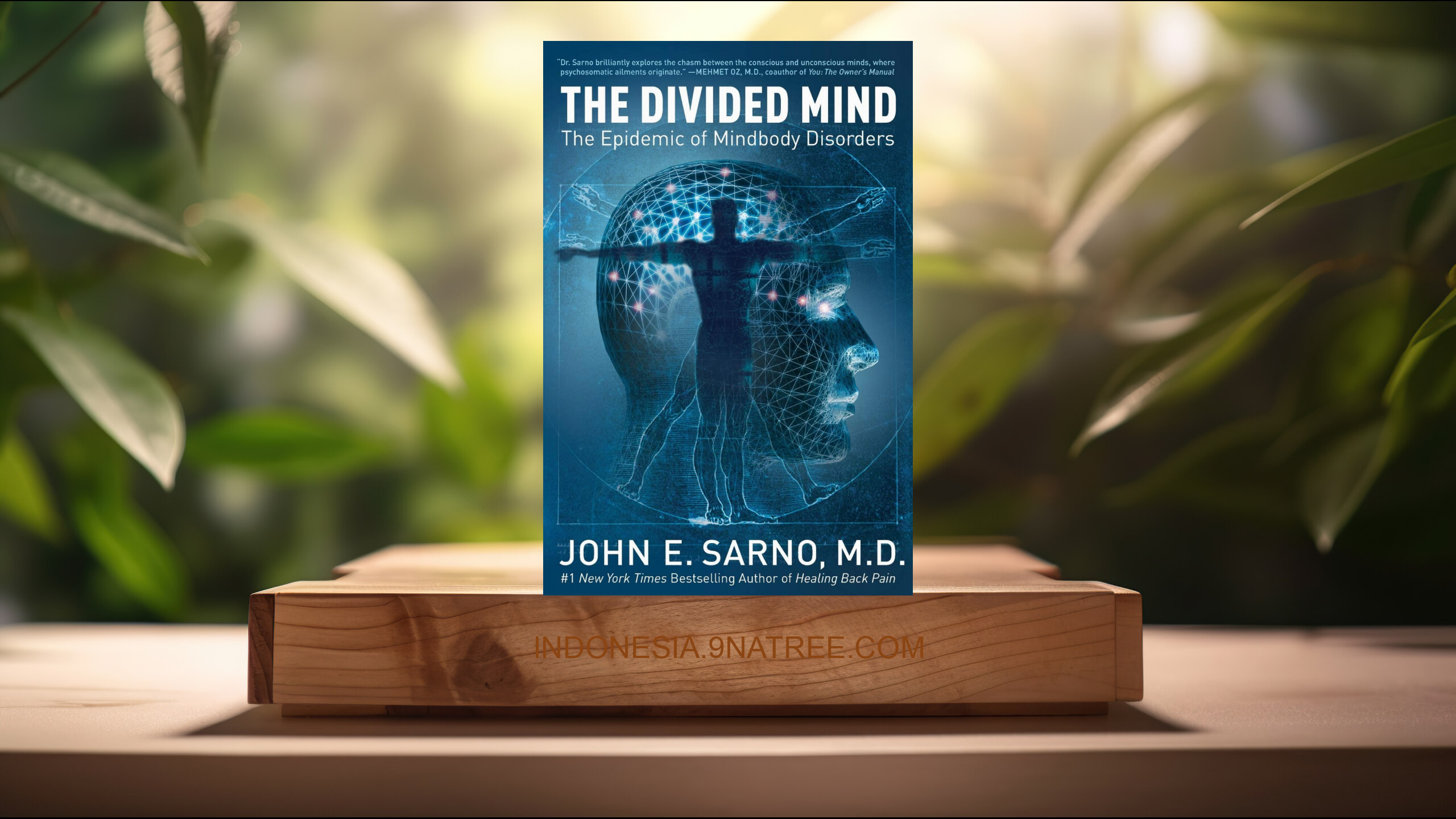 [Ulasan] The Divided Mind (John E. Sarno) Ringkasan.