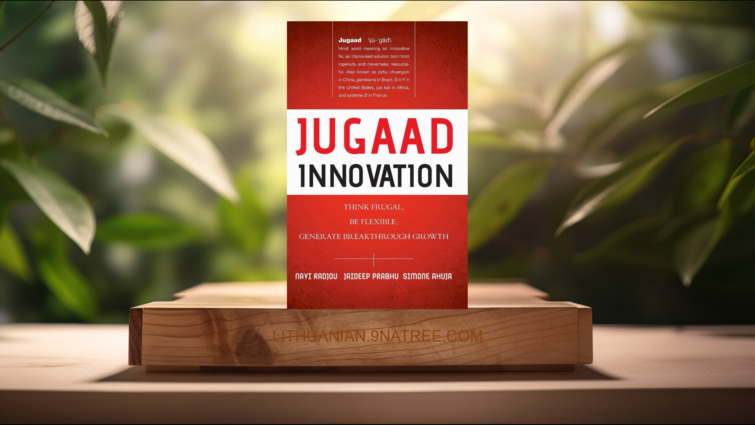 [Apžvalga] Jugaad Innovation (Navi Radjou) Apibendrinta.