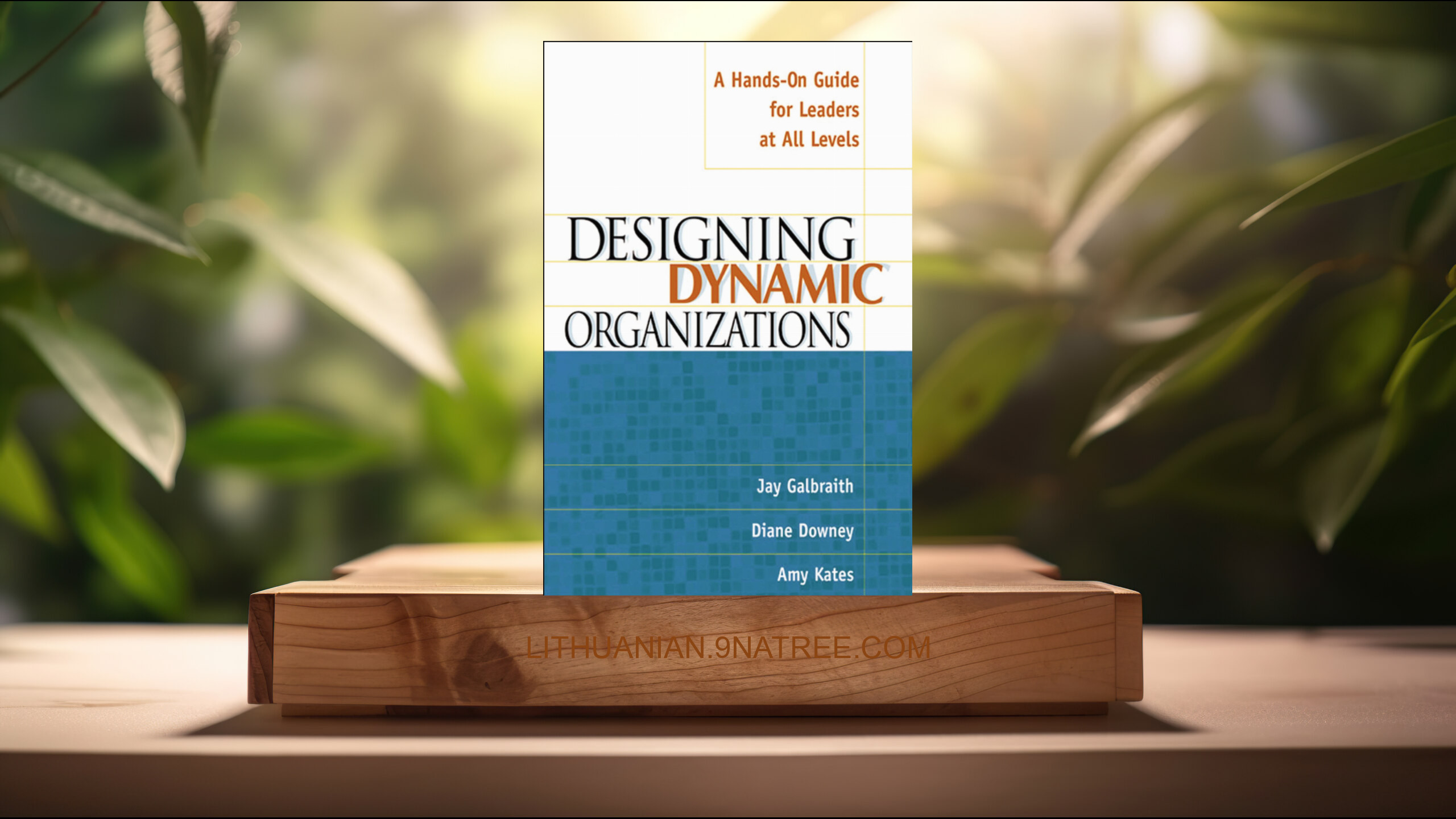 [Apžvalga] Designing Dynamic Organizations (Jay Galbraith) Apibendrinta.