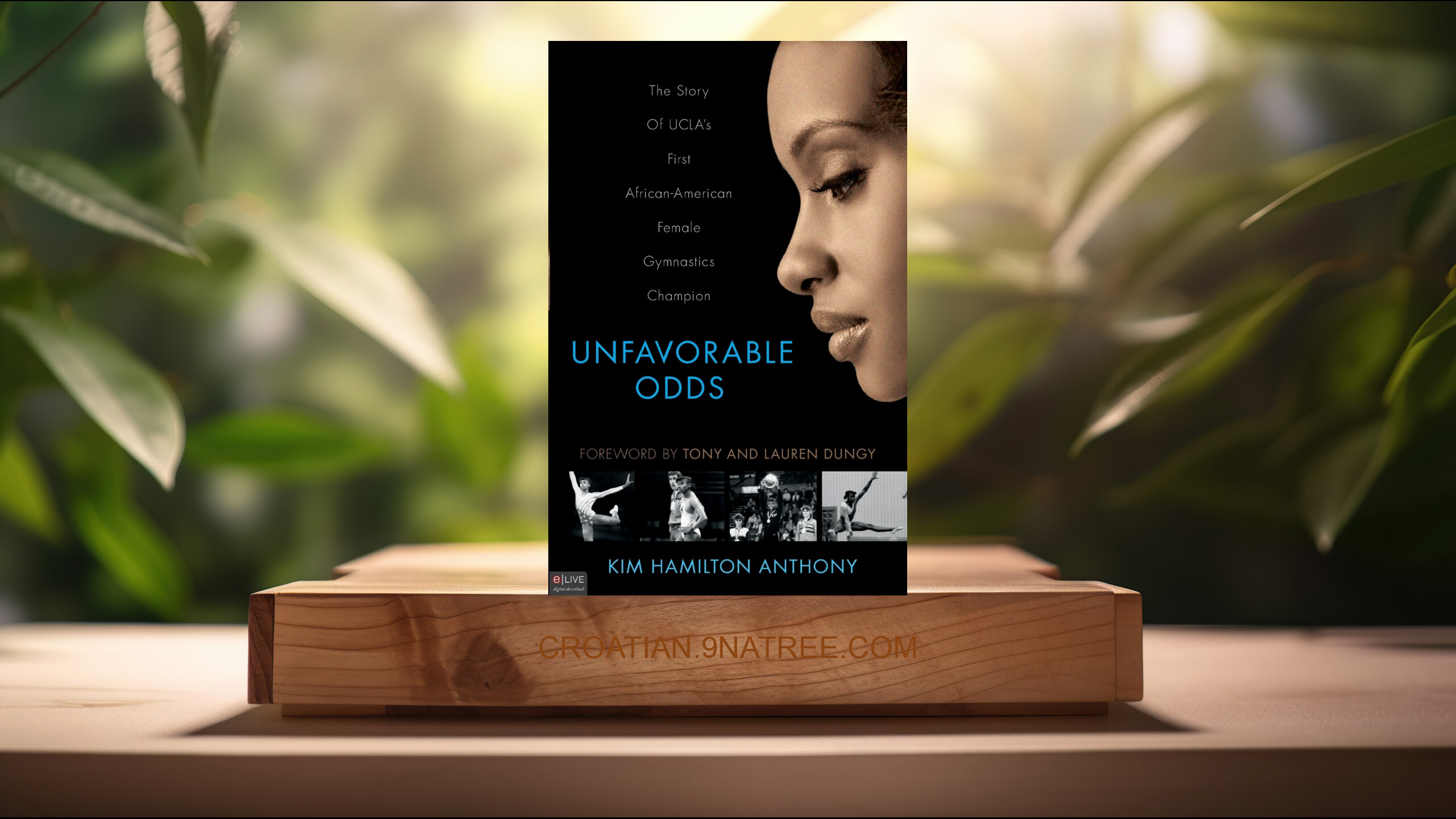 [Recenzija] Unfavorable Odds (Kim Hamilton Anthony) Sažeto.