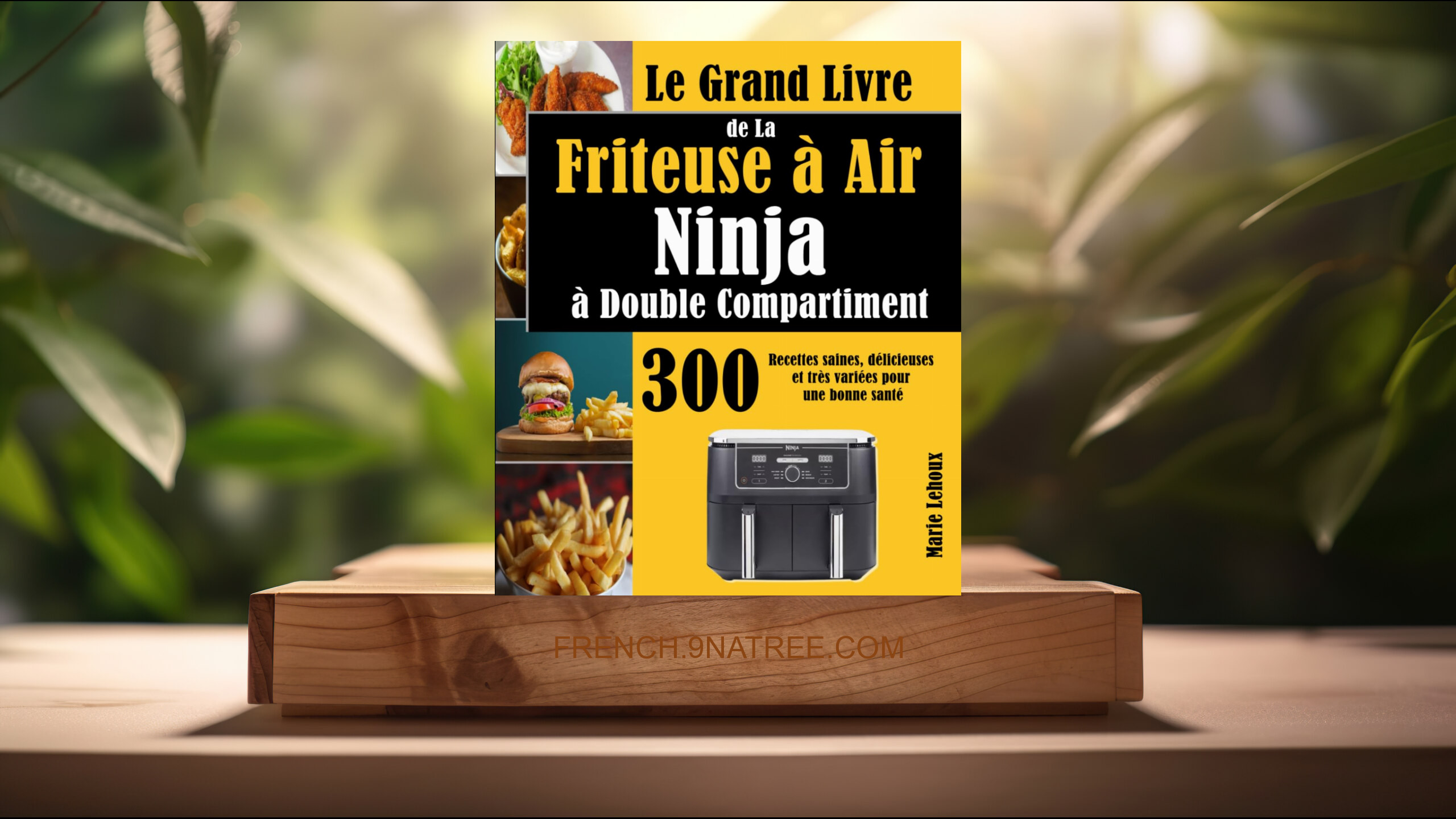 [Critique] Le Grand Livre de La Friteuse à Air Ninja à Double Compartiment (Marie Lehoux) Résumé.