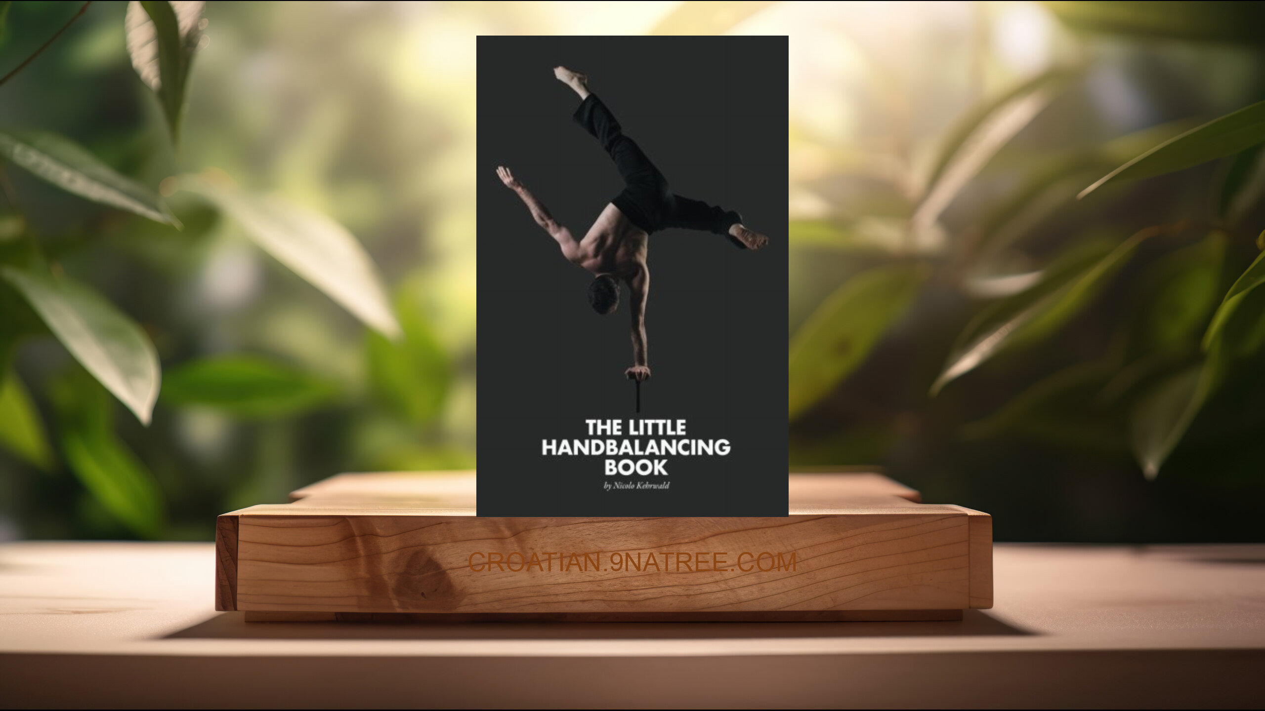 [Recenzija] The Little Handbalancing Book (Nicolo Kehrwald) Sažeto.