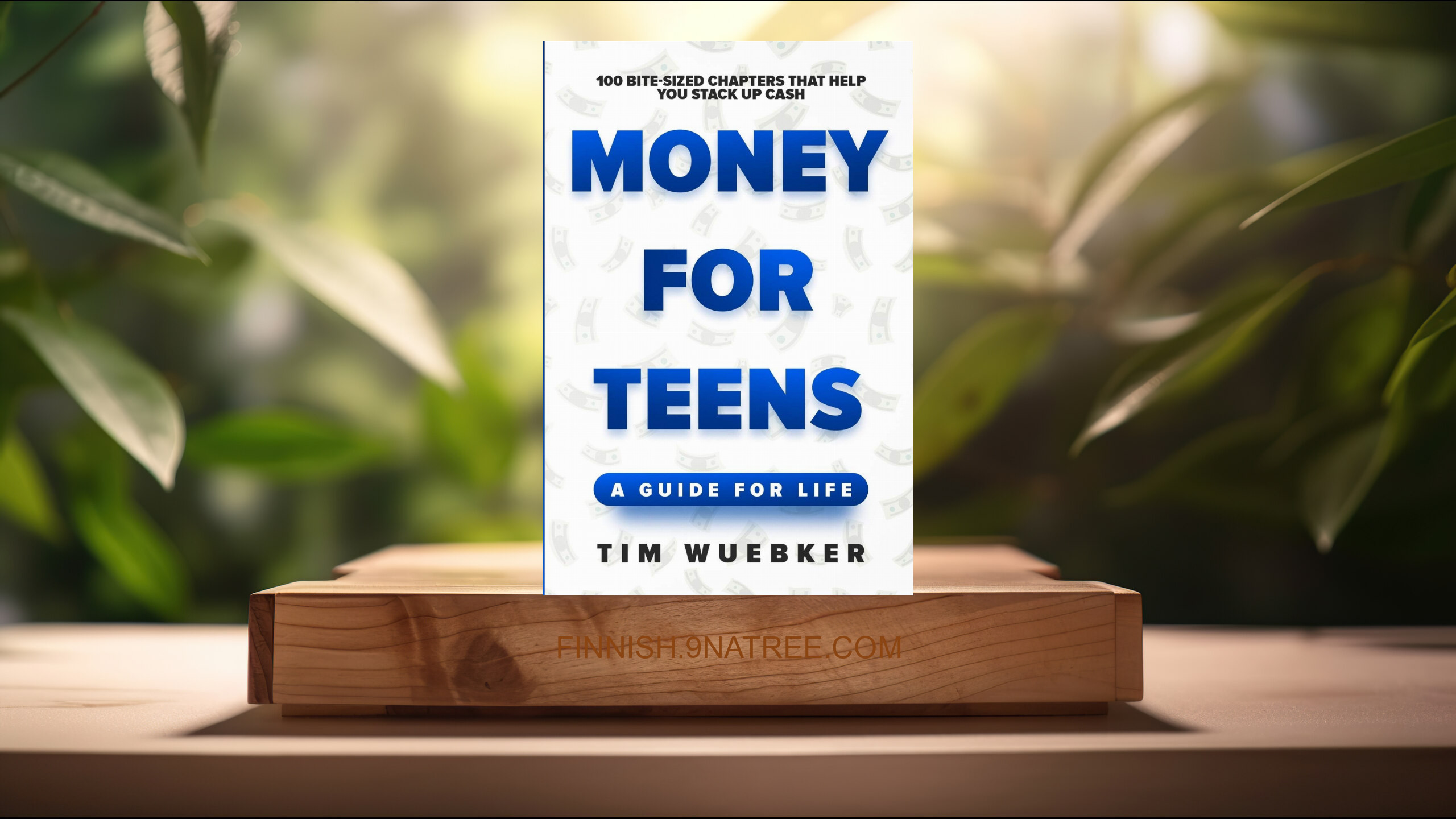 [Arvostelu] Money for Teens: A Guide for Life (Tim Wuebker) Tiivistetty.