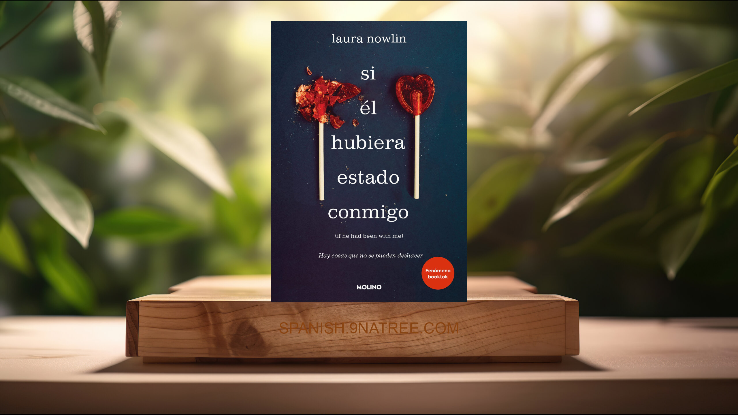 [Reseña] Si él hubiera estado conmigo (Laura Nowlin) Resumida.