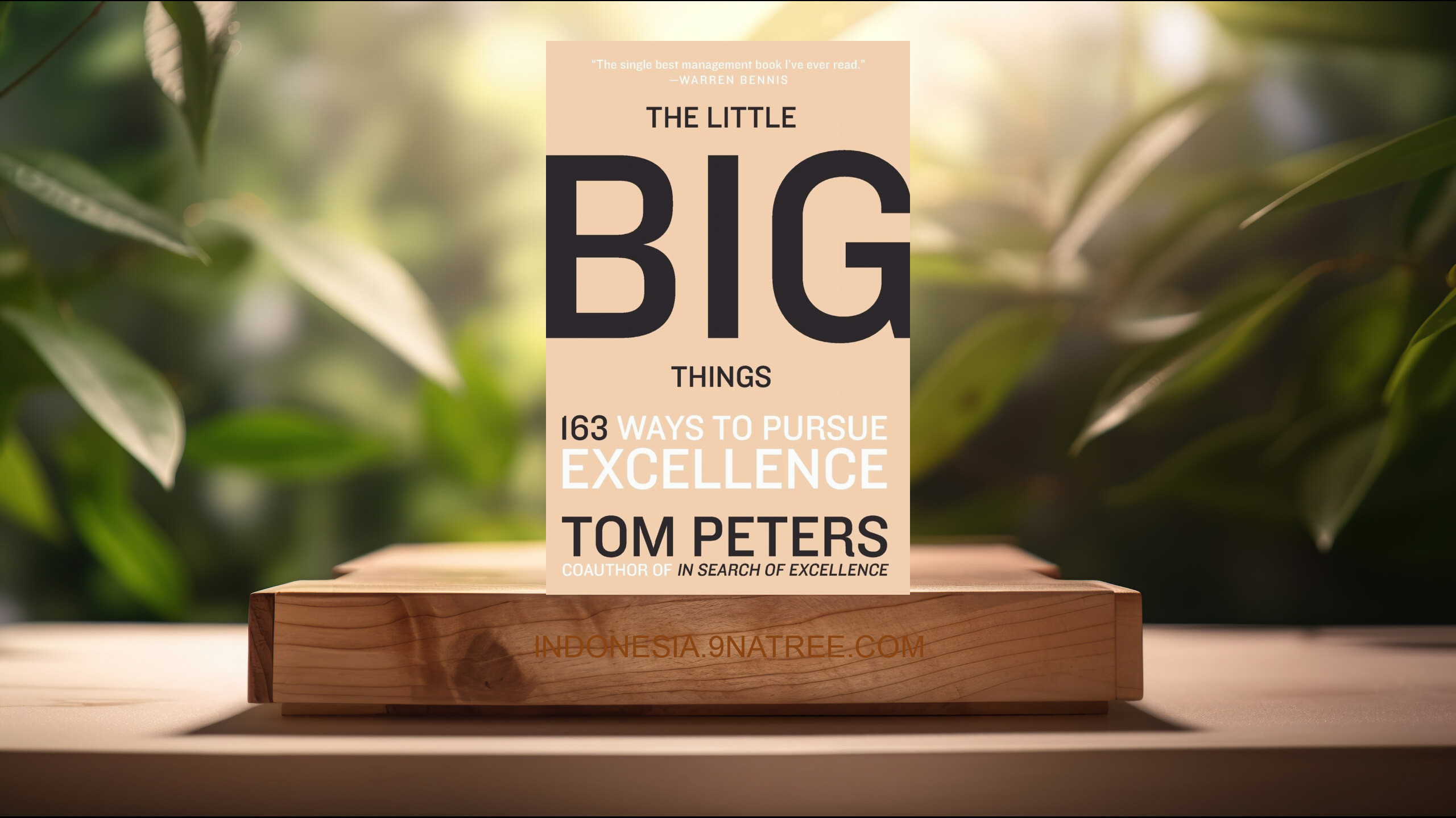 [Ulasan] The Little Big Things: 163 Ways to Pursue EXCELLENCE (Thomas J. Peters) Ringkasan.