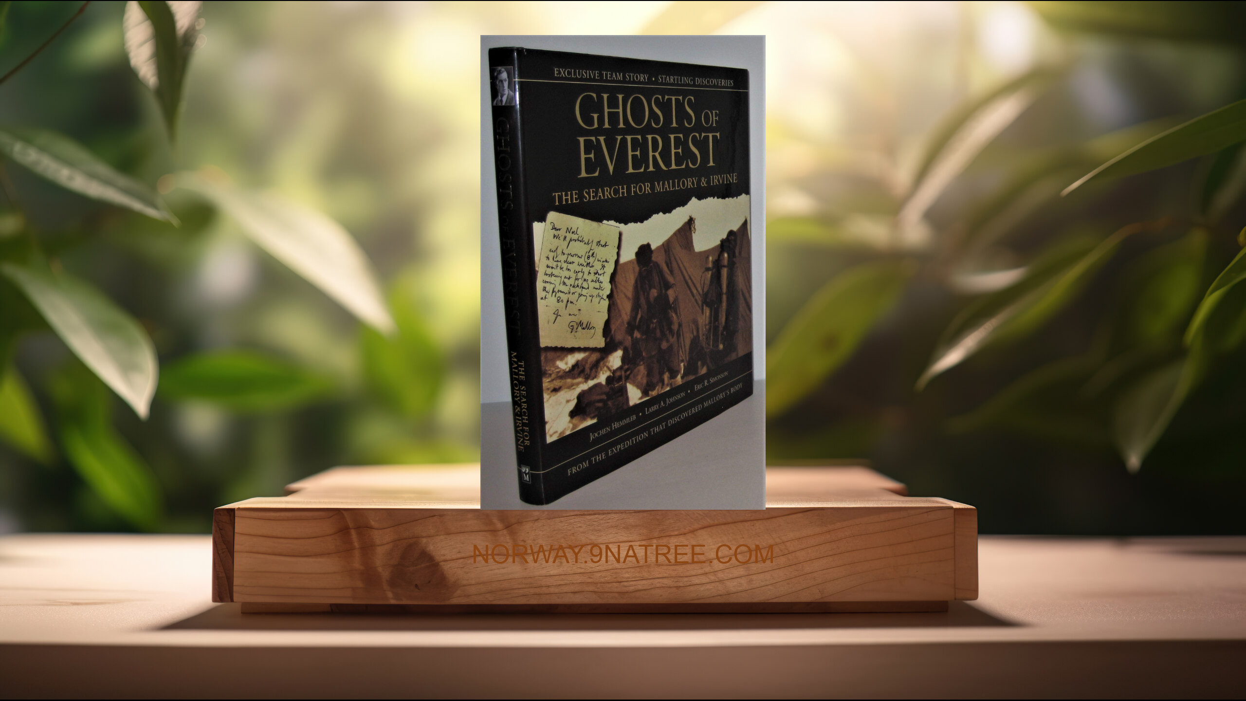 [Anmeldelse] Ghosts of Everest: The Search for Mallory & Irvine (Jochen Hemmleb) Oppsummert.