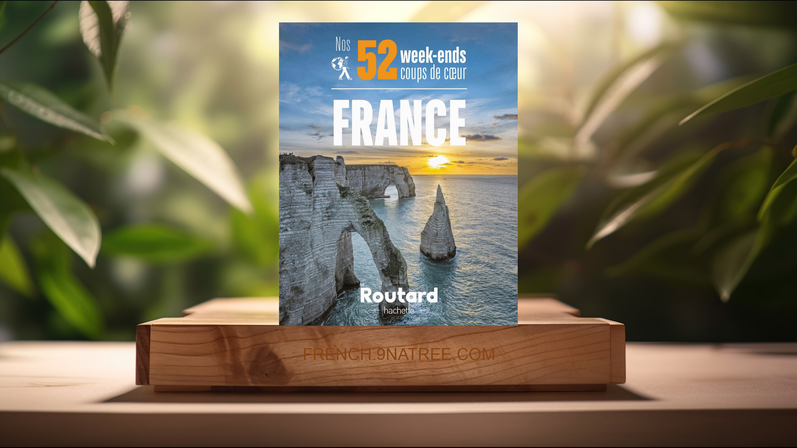 [Critique] Nos 52 week-ends coups de coeur en France (Collectif) Résumé.