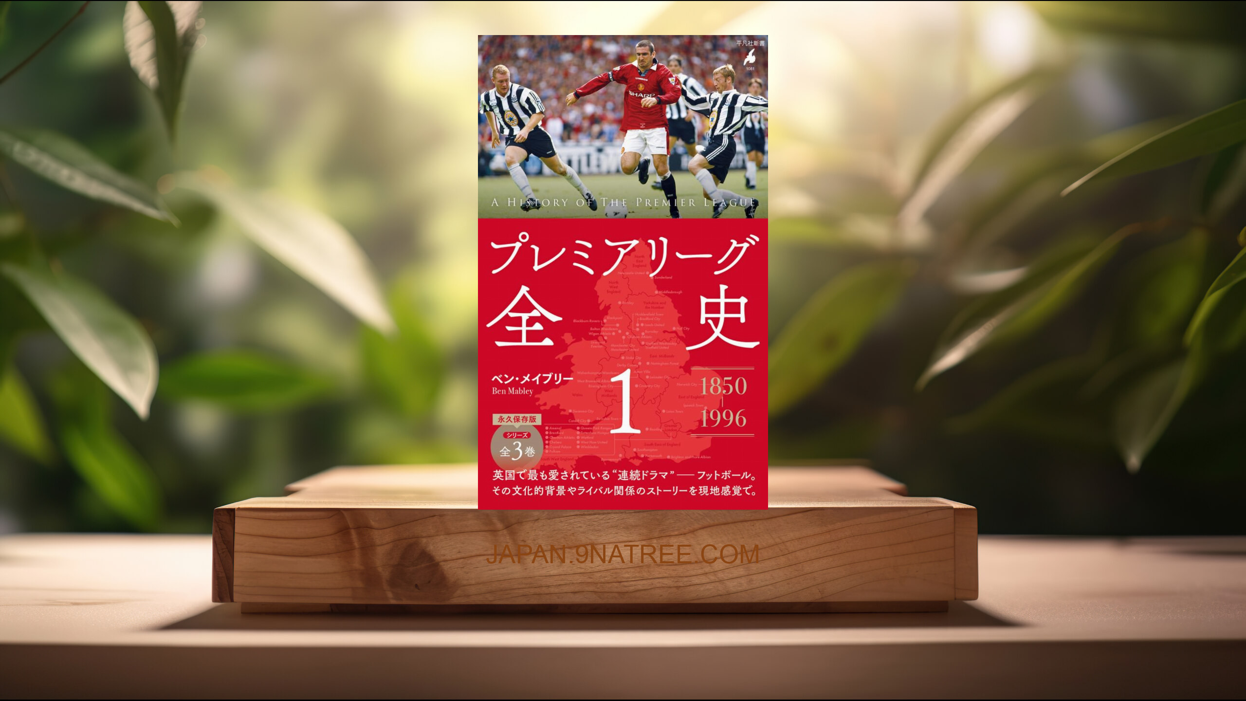 [レビュー] プレミアリーグ全史1   (ベン・メイブリー) 要約した.