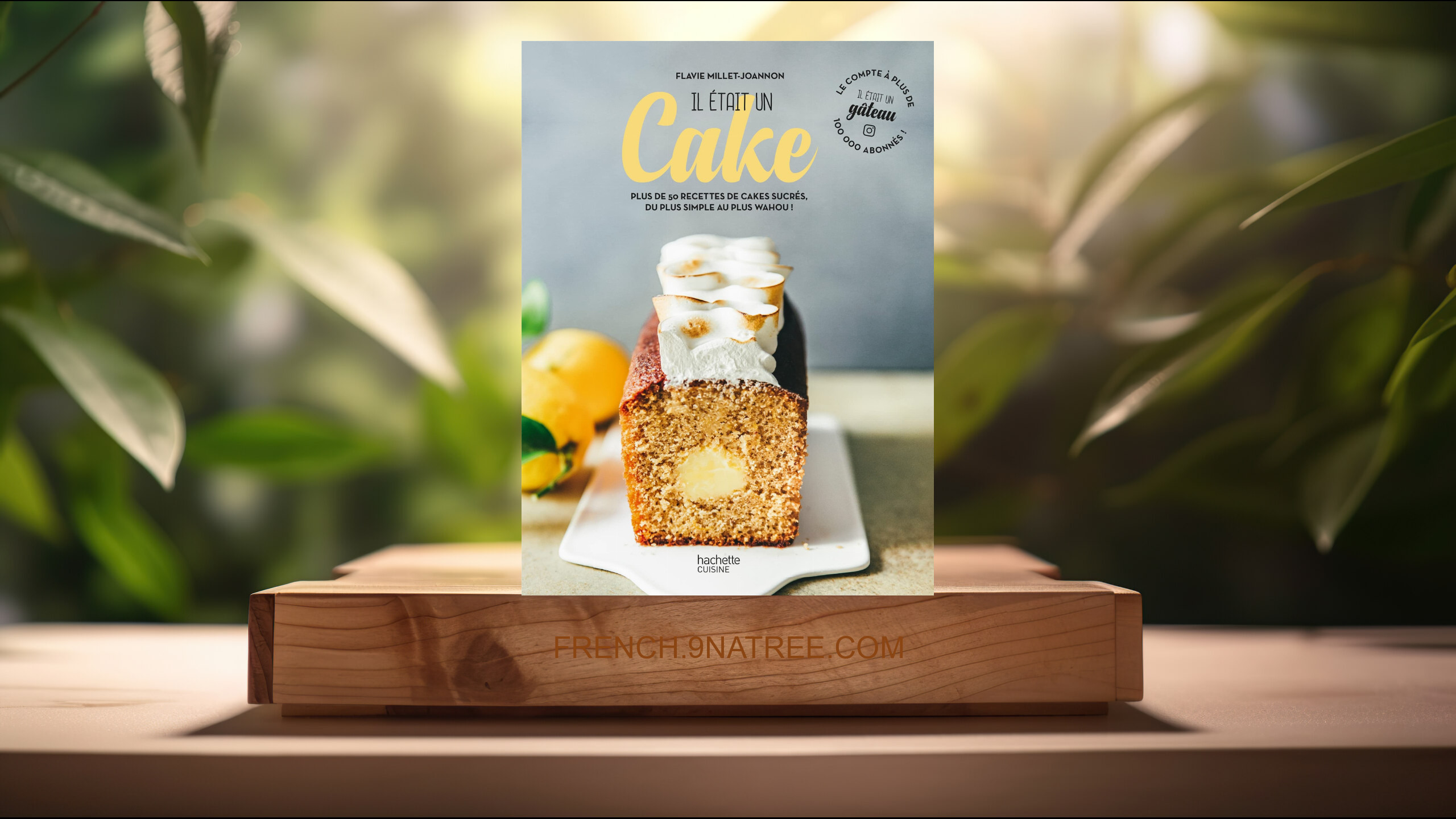 [Critique] Il était un cake (Il était un gâteau) Résumé.