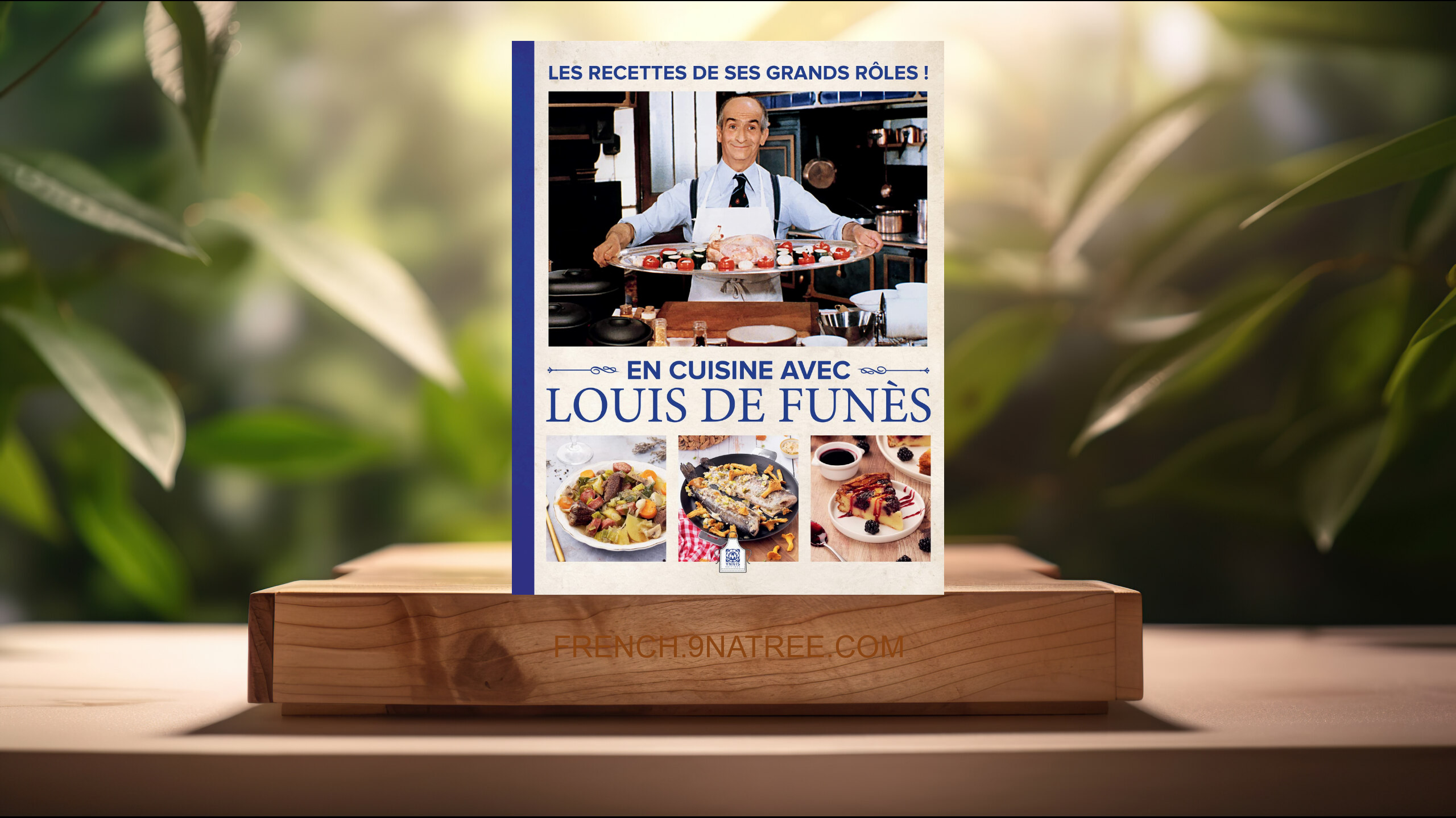 [Critique] En cuisine avec Louis de Funès (Minh-Tri Vo) Résumé.