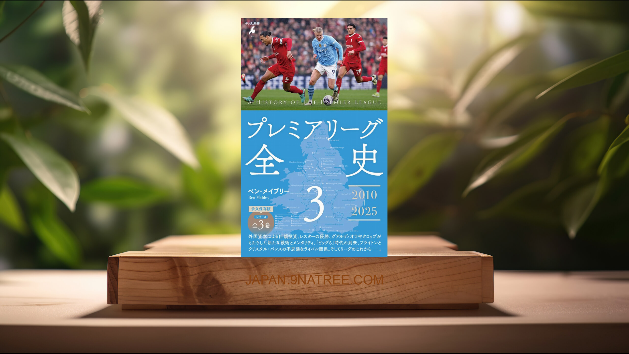 [レビュー] プレミアリーグ全史3   (ベン・メイブリー) 要約した.