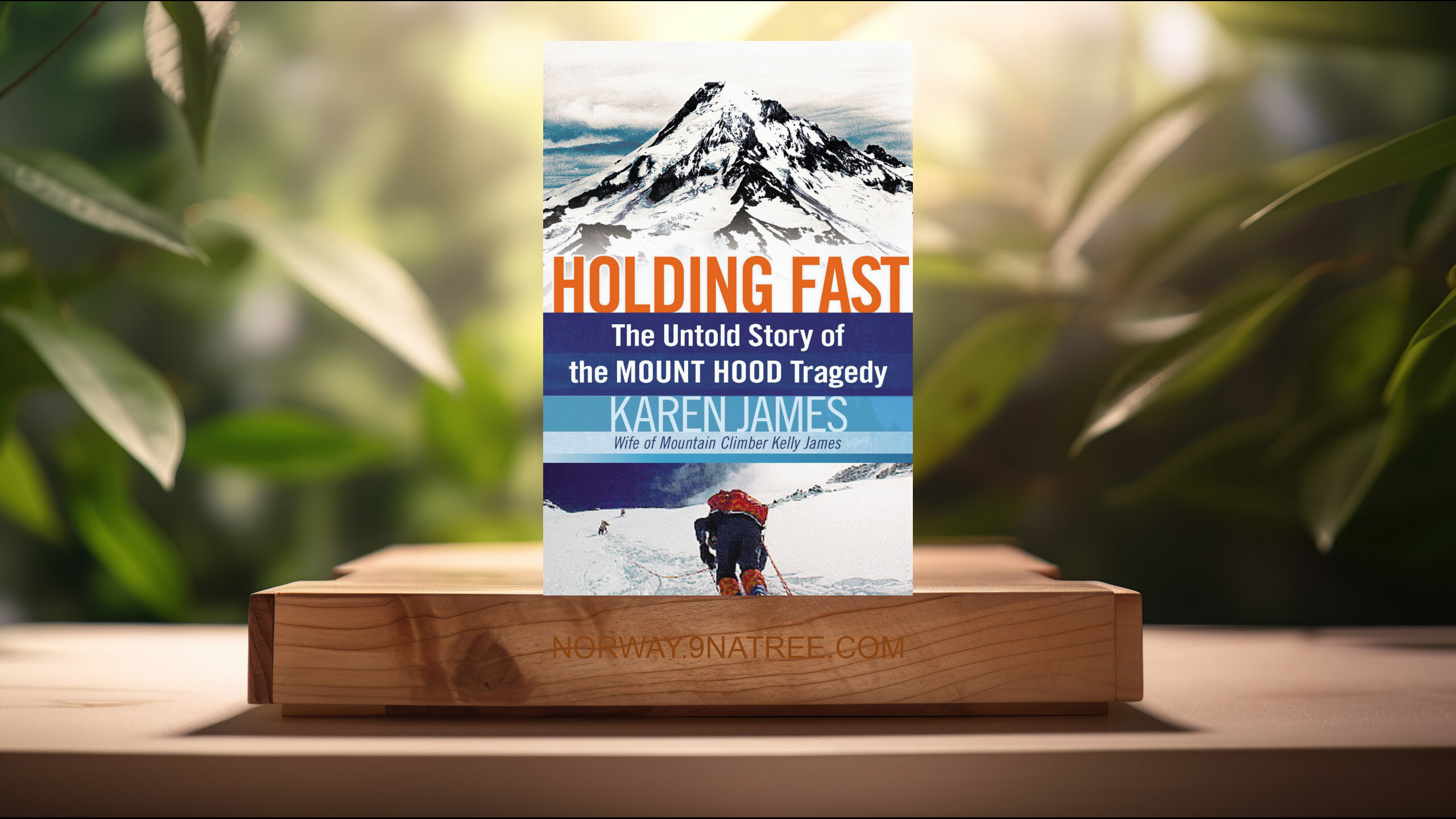 [Anmeldelse] Holding Fast: The Untold Story of the Mount Hood Tragedy (Karen James) Oppsummert.