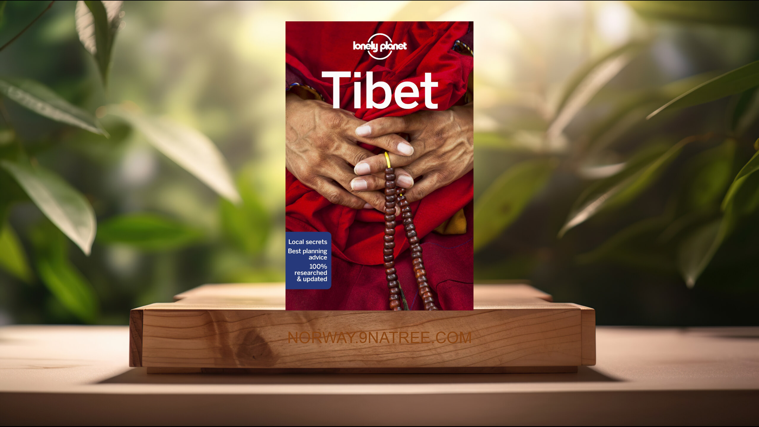 [Anmeldelse] Lonely Planet Tibet (Stephen Lioy) Oppsummert.