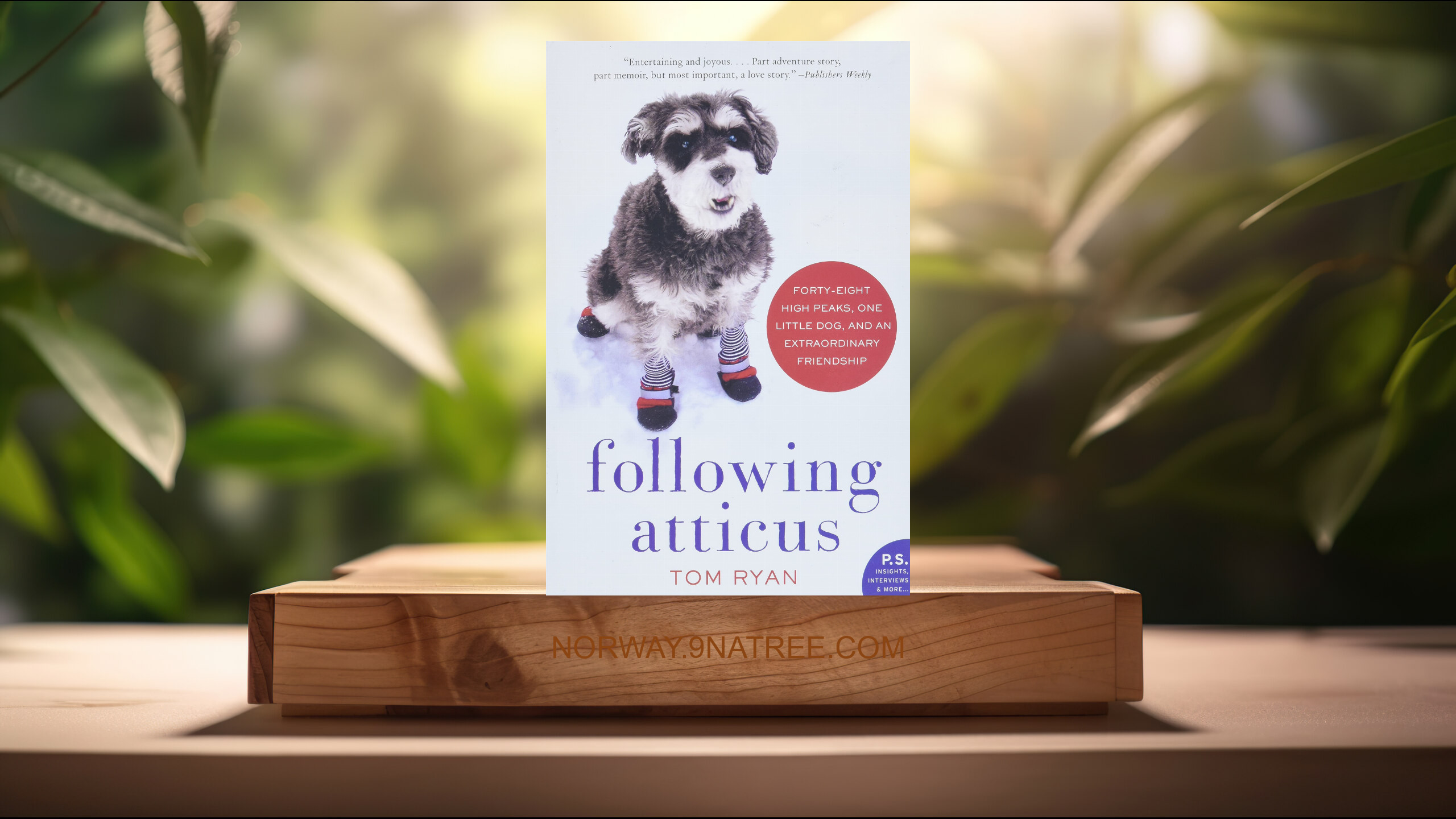 [Anmeldelse] Following Atticus (Tom Ryan) Oppsummert.