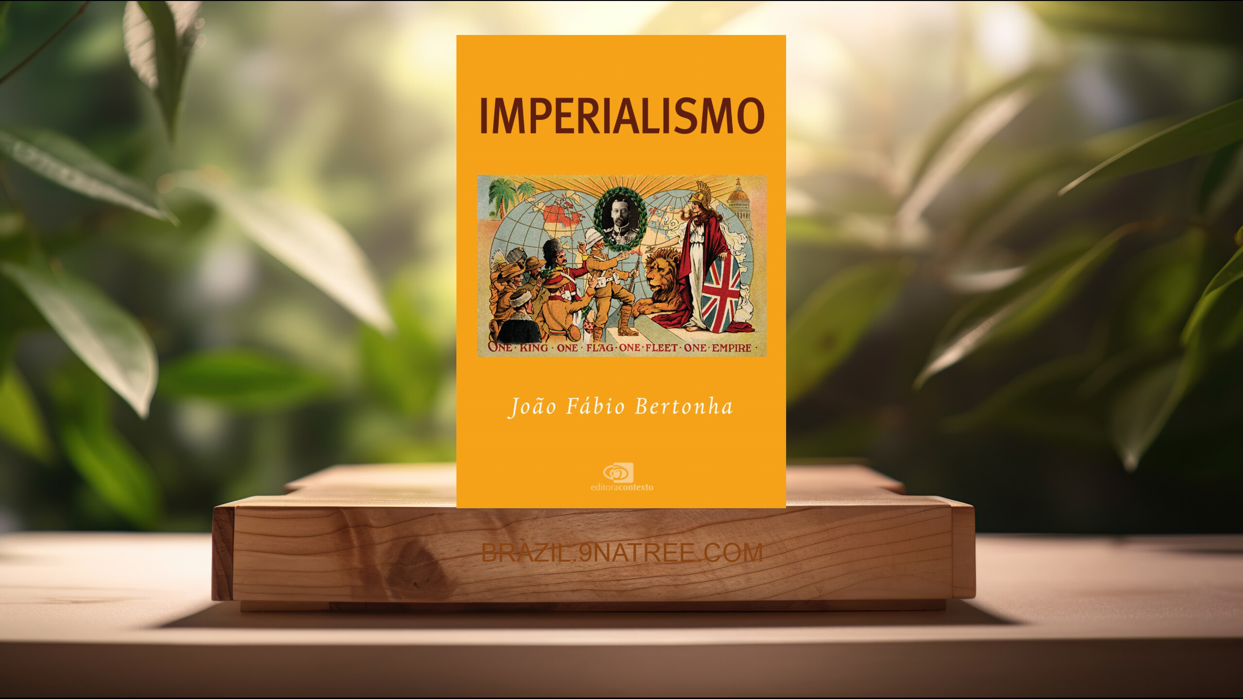 [Análises] Imperialismo (João Fábio Bertonha) Resumidos.