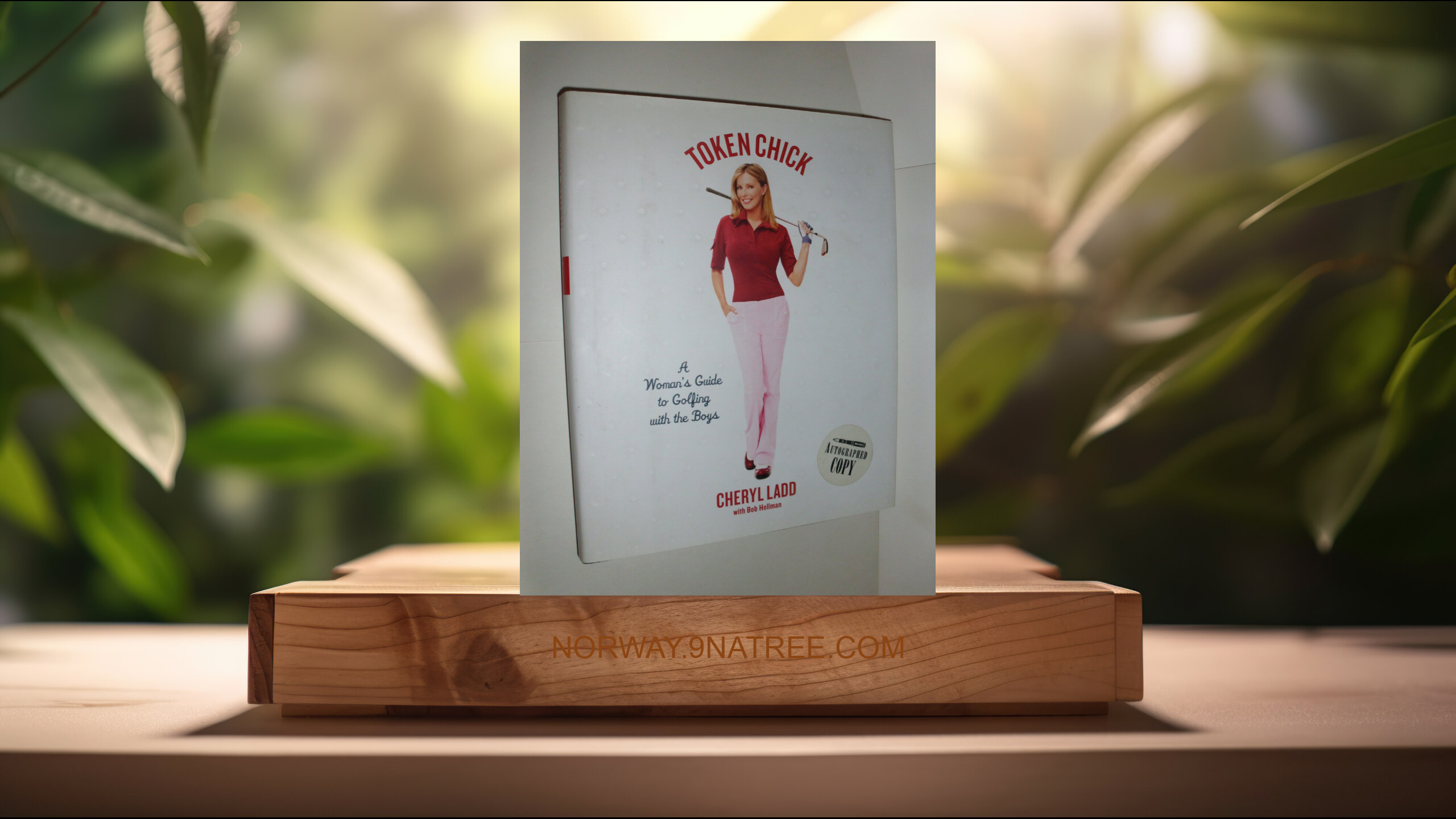 [Anmeldelse] Token Chick (Cheryl Ladd) Oppsummert.